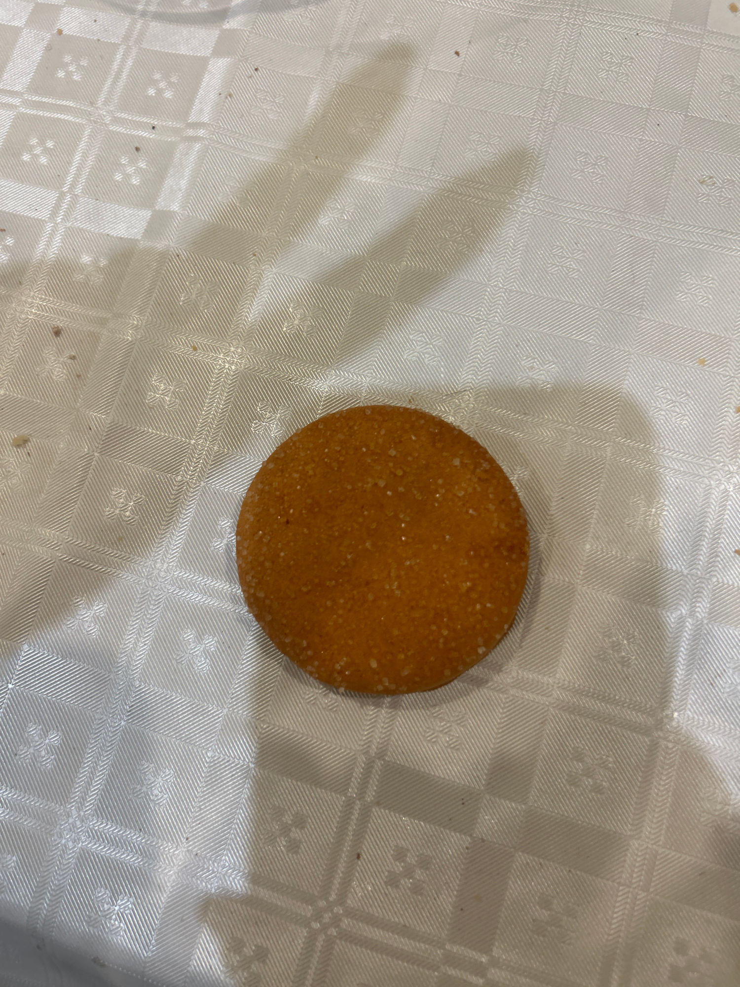A single, round, golden-brown cookie with a textured, granular surface is centrally placed on a white, patterned tablecloth. The tablecloth has a diamond-shaped weave with a small, cross-like pattern within each diamond. A soft shadow, cast by an unseen object, falls across the upper left portion of the cookie and the tablecloth. The lighting appears to be from above and slightly to the right. The image is taken from a high-angle perspective. The location is not specified in the image, and therefore cannot be provided.