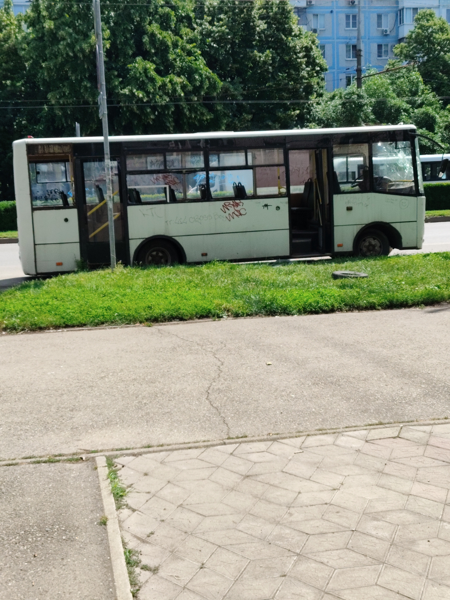 A light-colored, somewhat weathered bus with graffiti on its side is parked on the grassy shoulder of a road in Krasnodar, Russia. The bus, likely a public transportation vehicle, has its doors open. The immediate surroundings show a paved sidewalk to the right and a concrete road to the left, bordered by a strip of lush green grass. In the background, tall trees with dense foliage are visible, and behind them, a light blue building with multiple windows stands against a clear sky. The overall scene depicts an ordinary urban environment in Krasnodar.