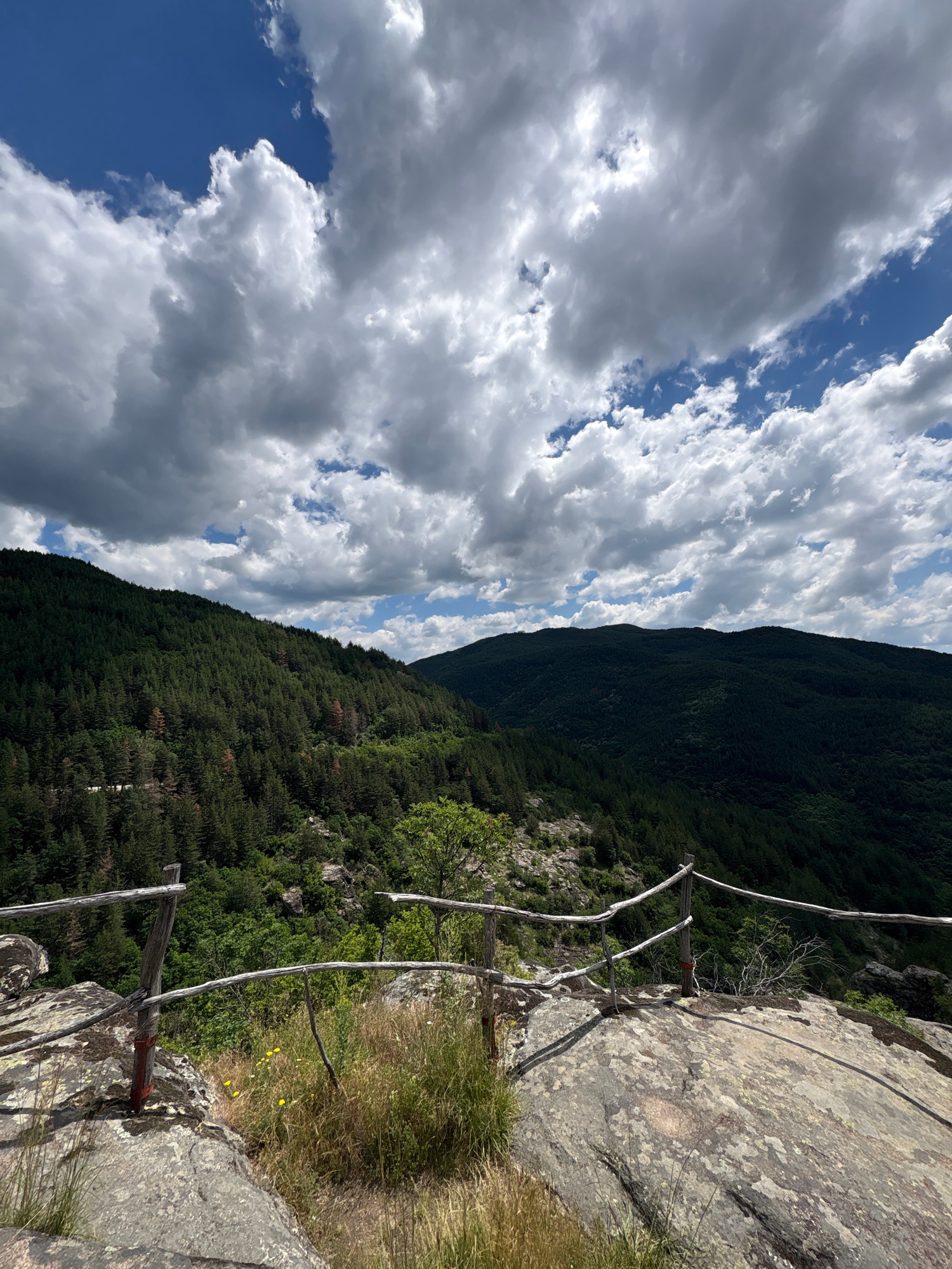 An eye-level, vertical, medium shot captures a vista overlooking a lush, tree-covered mountain range under a dynamic sky filled with dramatic clouds. The foreground is dominated by large, textured rocks, partially covered with dry grass and a few small yellow wildflowers. A rustic, wooden barrier with rough-hewn posts and railings, secured with red tape, runs along the edge of the rocky outcrop, serving as a safety measure. The mountains in the middle ground and background are densely packed with evergreen trees, creating a dark, verdant carpet that stretches towards the horizon. The sky above is a vibrant blue, interspersed with large, fluffy white and gray clouds that cast shadows on the landscape below, suggesting a day with changing weather. The scene is devoid of any people or animals. The location is identified as a viewpoint in the vicinity of Dolno Drianovo, Bulgaria, likely a natural attraction or hiking trail offering scenic views.