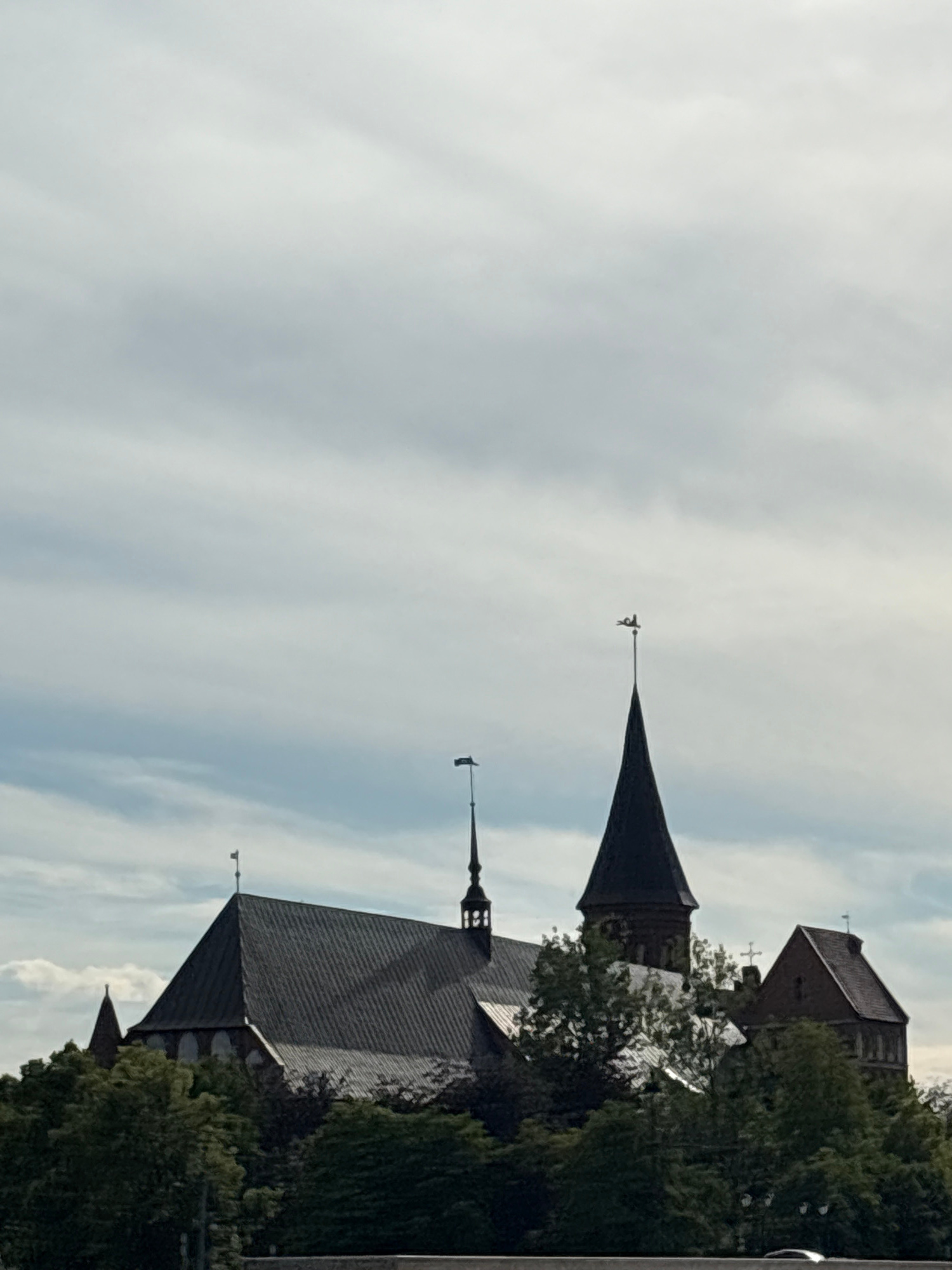 The image shows the Kaliningrad Cathedral (also known as the Königsberg Cathedral) located on Kant Island in Kaliningrad, Russia. The cathedral, a Gothic brick building, is partially obscured by lush green trees in the foreground. It features a prominent dark-colored spire topped with a weather vane. Adjacent to the main structure, a smaller red-brick building with a cross on its roof is visible. The sky above is overcast with dramatic, gray clouds. No people or animals are clearly discernible in the image. The perspective suggests the photograph was taken from a slightly elevated position, possibly across a body of water.