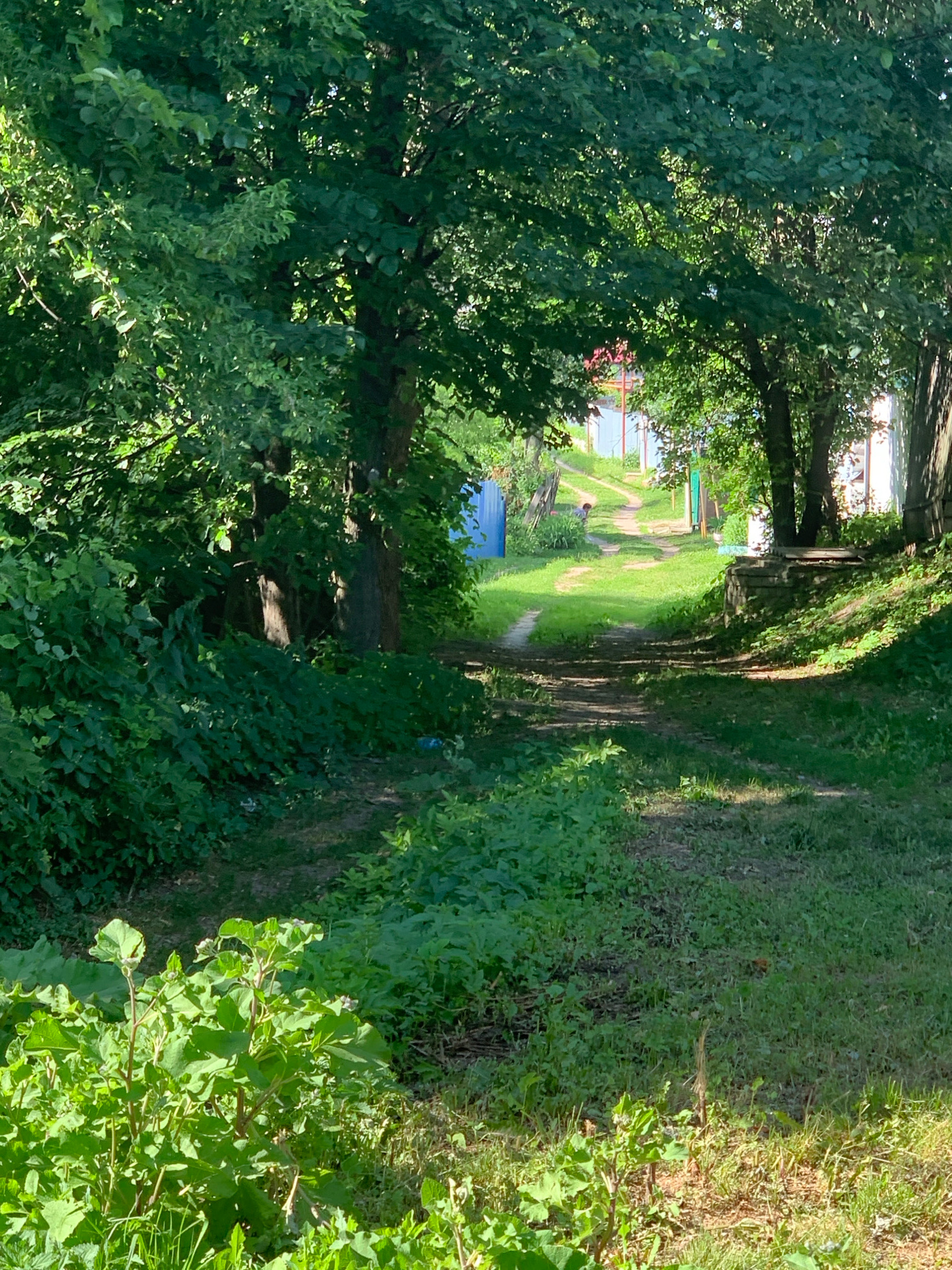 The image depicts a sun-dappled, overgrown path leading through a residential area in Pavlovo, Russia. Lush green foliage and trees dominate the scene, with a narrow, dirt and grass path winding into the distance. Sunlight filters through the leaves, casting shadows on the ground. On the right side of the path, there is a stone-lined embankment and some wooden structures. In the background, several small houses with visible roofs and fences can be seen, suggesting a rural or semi-rural setting within the city. A blue fence is visible on the left side of the path. In the distance, a person is partially visible walking up the path. The overall impression is one of a quiet, natural setting within a populated area.