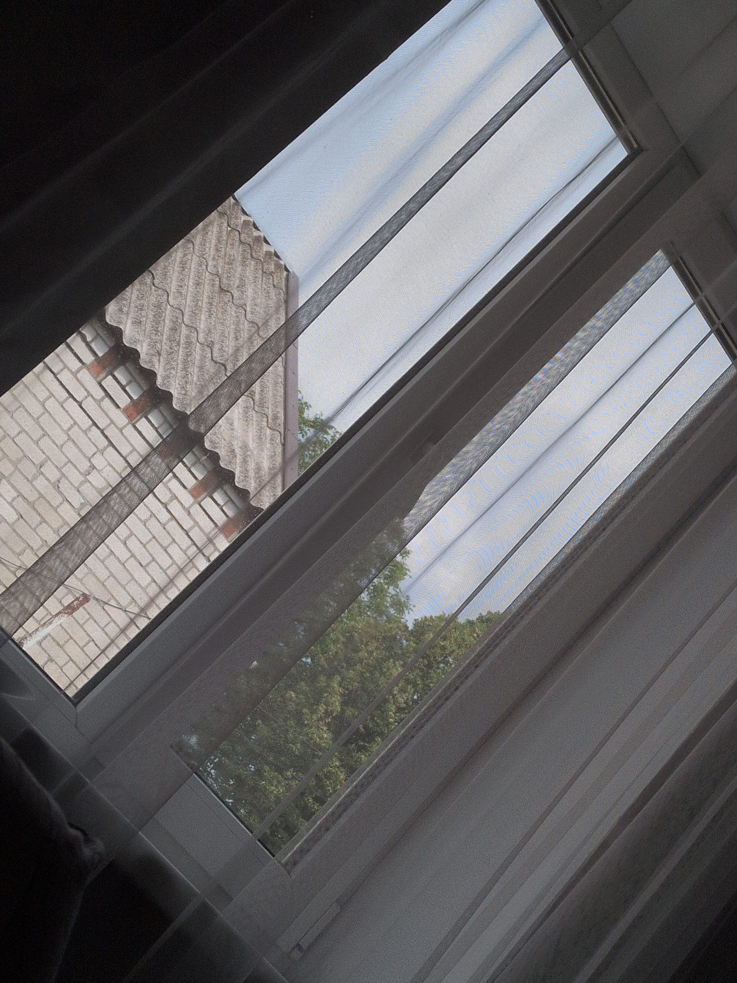 The image shows a view through a slanted window, likely a skylight. The window is covered by sheer, dark netting or fabric that creates a textured overlay on the scene outside. Two panes of the window are visible, angled towards the viewer.
Through the left pane, the roof of a building is visible. It appears to be covered with aged, grey, corrugated roofing material and also some lighter colored brickwork. The roof has a weathered, somewhat textured appearance.
The right pane of the window reveals a bit more of the outdoor environment. There are green trees visible, suggesting it is a daytime scene, possibly with a clear or partly cloudy sky. The netting obscures the finer details of the trees and sky. The overall impression is one of looking out from an interior space towards an outdoor view, with a soft, filtered light. There are no people or specific objects of interest, and no visible text. The scene feels quiet and ordinary, a glimpse of the outside world through a protective, semi-transparent barrier.