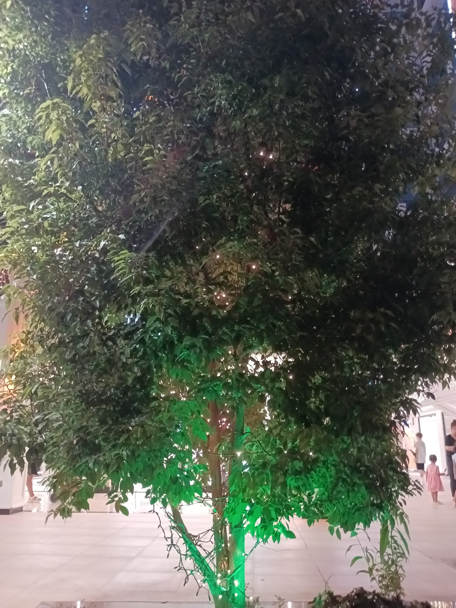 A medium shot captures a large, leafy tree adorned with green lights at its base. The tree's branches extend across the frame, obscuring much of the background. In the distance, a paved walkway is visible, with several figures blurred by low light and motion. To the left, a person stands facing away from the camera. To the right, two individuals, one adult and one child in a pink dress, are walking away from the viewpoint. The lighting suggests it is nighttime, with artificial lights casting a glow on the scene. The location in the city of Alanya, Turkey, cannot be determined from the visual information provided in the image.