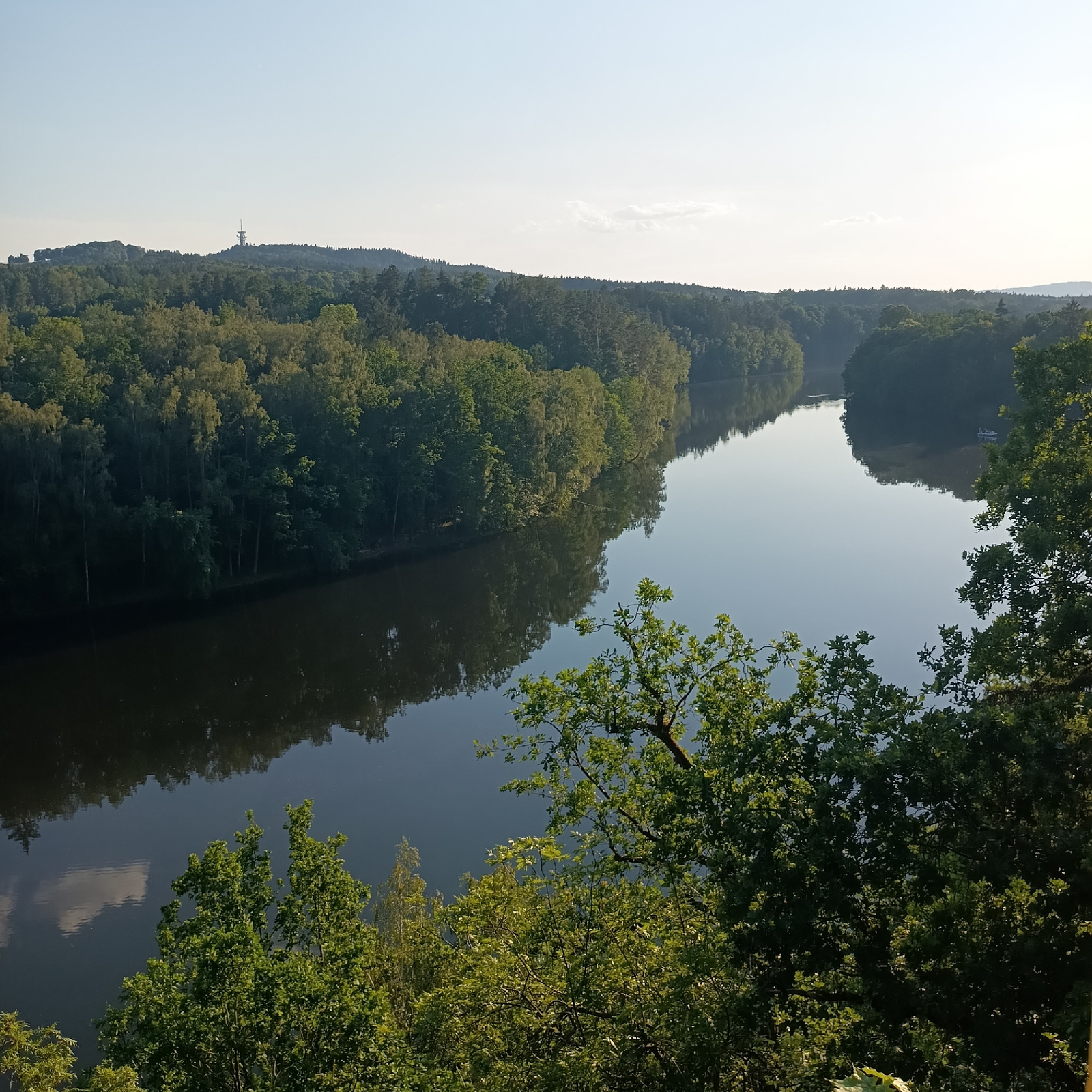 The image depicts a wide, calm river flowing through a densely forested landscape under a clear, pale sky. The water reflects the trees and sky, creating a mirror-like effect. On the left bank, a thick forest stretches along the river, with varied shades of green indicating different types of trees and varying light conditions. In the distance, on the left side of the frame, a prominent telecommunications tower stands atop a tree-covered hill, a landmark in the Cheb region of the Czech Republic. The foreground features the tops of lush green trees and branches, suggesting the viewpoint is from a higher elevation overlooking the scene. The overall atmosphere is serene and natural, capturing a tranquil daytime view of the river and its surroundings.