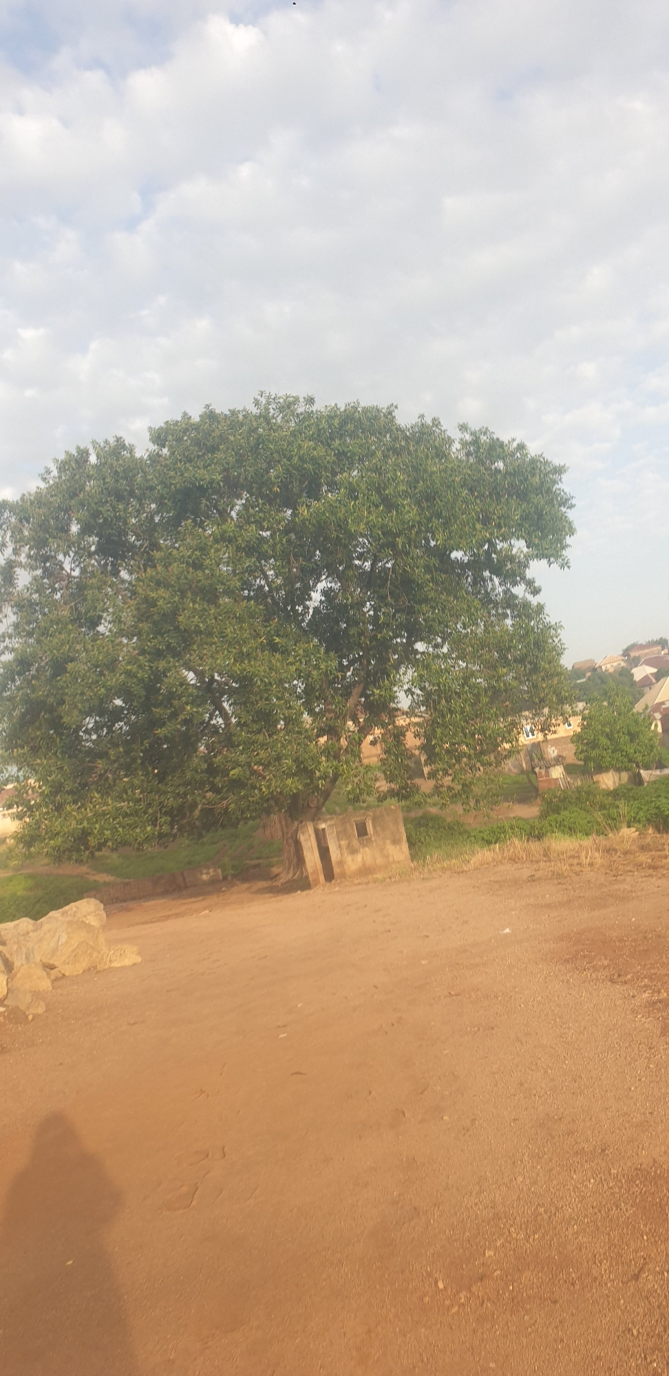 An outdoor, vertical, medium shot captures a large, leafy tree dominating the center of the frame. The tree's dense green foliage is illuminated by natural light against a sky filled with white, scattered clouds. To the right of the tree, a small, dilapidated concrete structure with a rectangular opening is visible, partially obscured by the tree's trunk. In the foreground, reddish-brown earth is scattered with rocks and dry grass. A faint shadow of a person holding a camera is cast on the ground in the lower left corner. In the background, a cluster of buildings with terracotta-colored roofs can be seen on a gentle slope, suggesting a semi-urban or rural setting. The overall impression is that of a tranquil, possibly historical site in Jos, Nigeria, given the architectural style and vegetation.