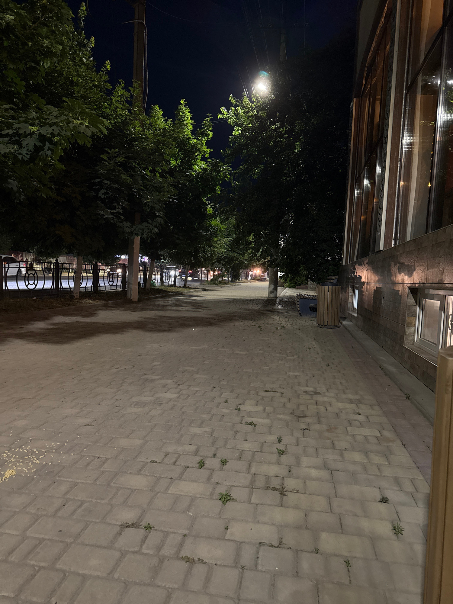 The image depicts a nighttime scene on a sidewalk paved with grey rectangular stones in Khasavyurt, Russia. To the right, a building with a modern facade featuring vertical elements and large windows is visible. Some windows are illuminated from within. Adjacent to the building, a wooden trash receptacle stands on the sidewalk.
A line of trees with dark green foliage runs along the left side of the sidewalk, casting shadows on the pavement. Beyond the trees, a black metal fence with circular decorative elements separates the sidewalk from a street where vehicles are present, indicated by headlights. A lamppost with a light source is visible amidst the trees, illuminating the area. The sky is dark, suggesting it is late at night. Small weeds are scattered across the paving stones.