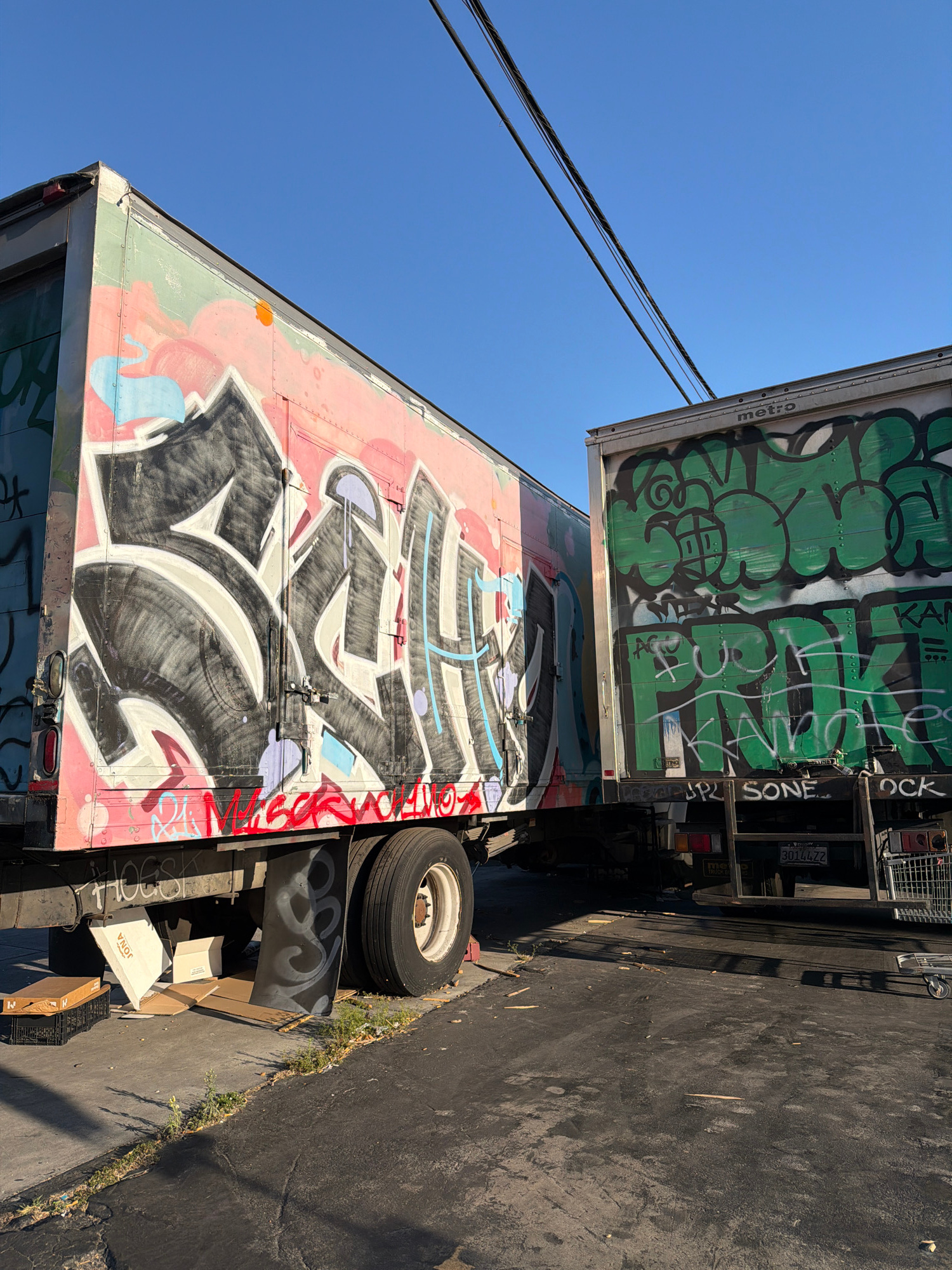 Two graffiti-covered box trucks are parked side-by-side on an asphalt surface. The truck on the left has a pink and green exterior with large black and white graffiti. The truck on the right is green with black graffiti and has the word "metro" printed on its side. Both trucks are parked in an urban environment, with power lines visible against a clear blue sky. There are some cardboard boxes and a shopping cart near the trucks. The scene appears to be in an industrial or commercial area.