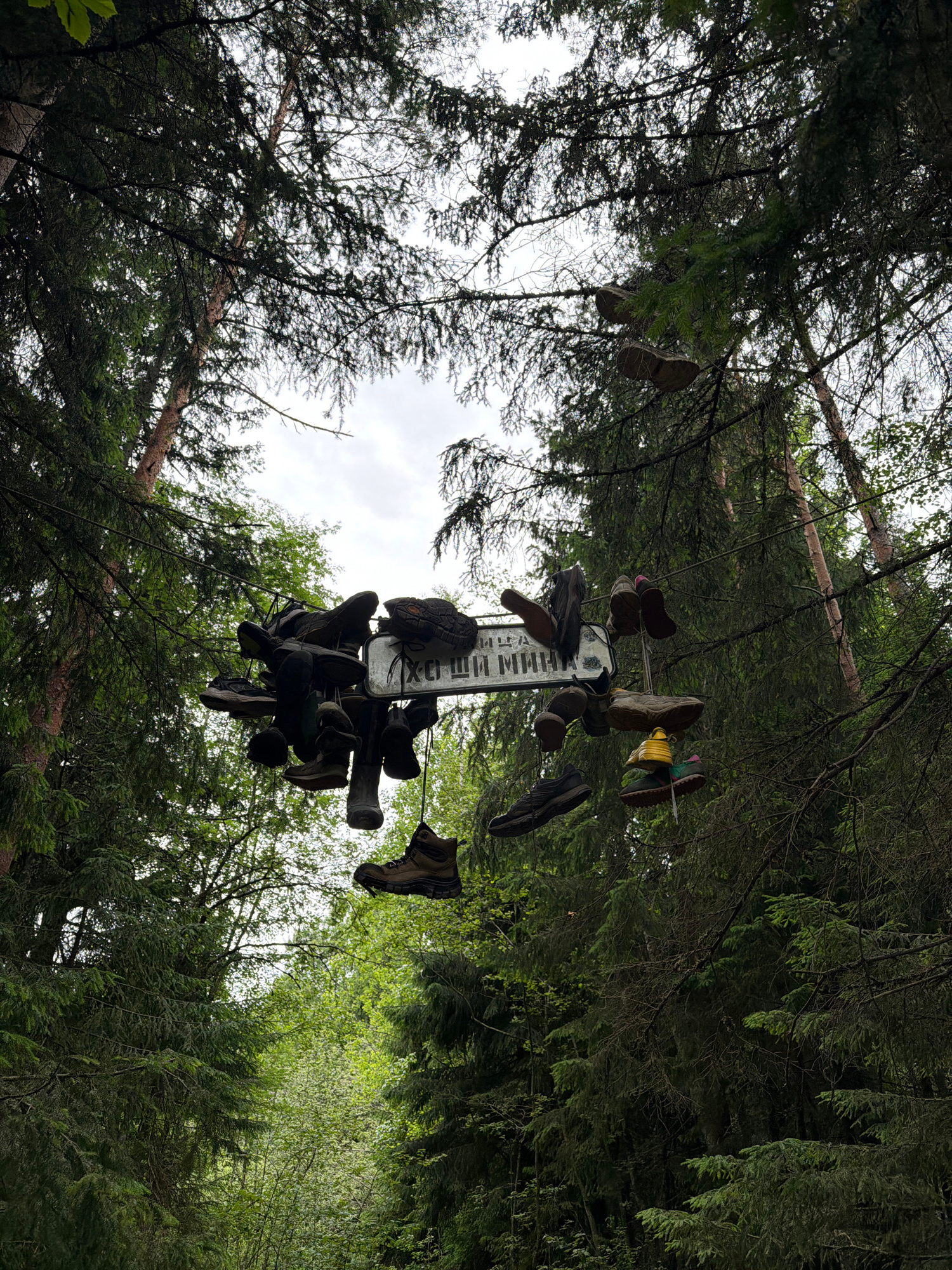 In a forest setting with tall evergreen trees, several pairs of shoes and boots are suspended from branches and a wire. A sign with Russian text is visible amidst the shoes, and some individual shoes are also hanging higher up in the trees. The scene suggests an unusual art installation or a memorial. The location is identified as Kuznechnoye, Russia.