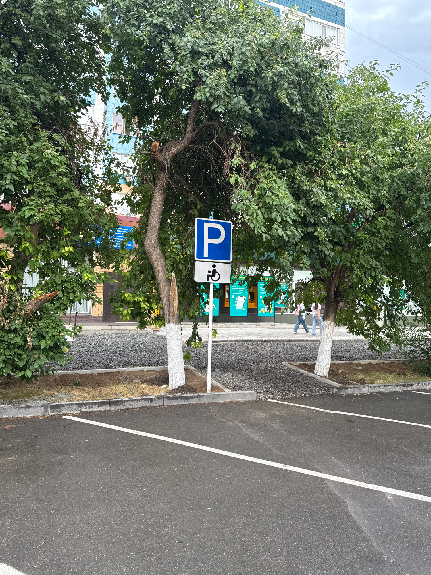 The image captures a street scene in Pavlodar, Kazakhstan, featuring a parking area with designated spots for disabled individuals, indicated by a blue sign with a white "P" and a wheelchair symbol below it. Two mature trees with dense green foliage frame the sign. One tree on the left has a broken branch visible through its leaves, while the other on the right has its base painted white. The parking lot is paved with asphalt and marked with white lines. Beyond the trees, a building with light blue and white brickwork is visible, suggesting an urban environment. A sidewalk runs in front of the building, where two people, one wearing a pink backpack and the other in a white top, are walking. The ground around the trees and sidewalk is covered with dark gravel and some patches of dry grass. The sky is overcast.
