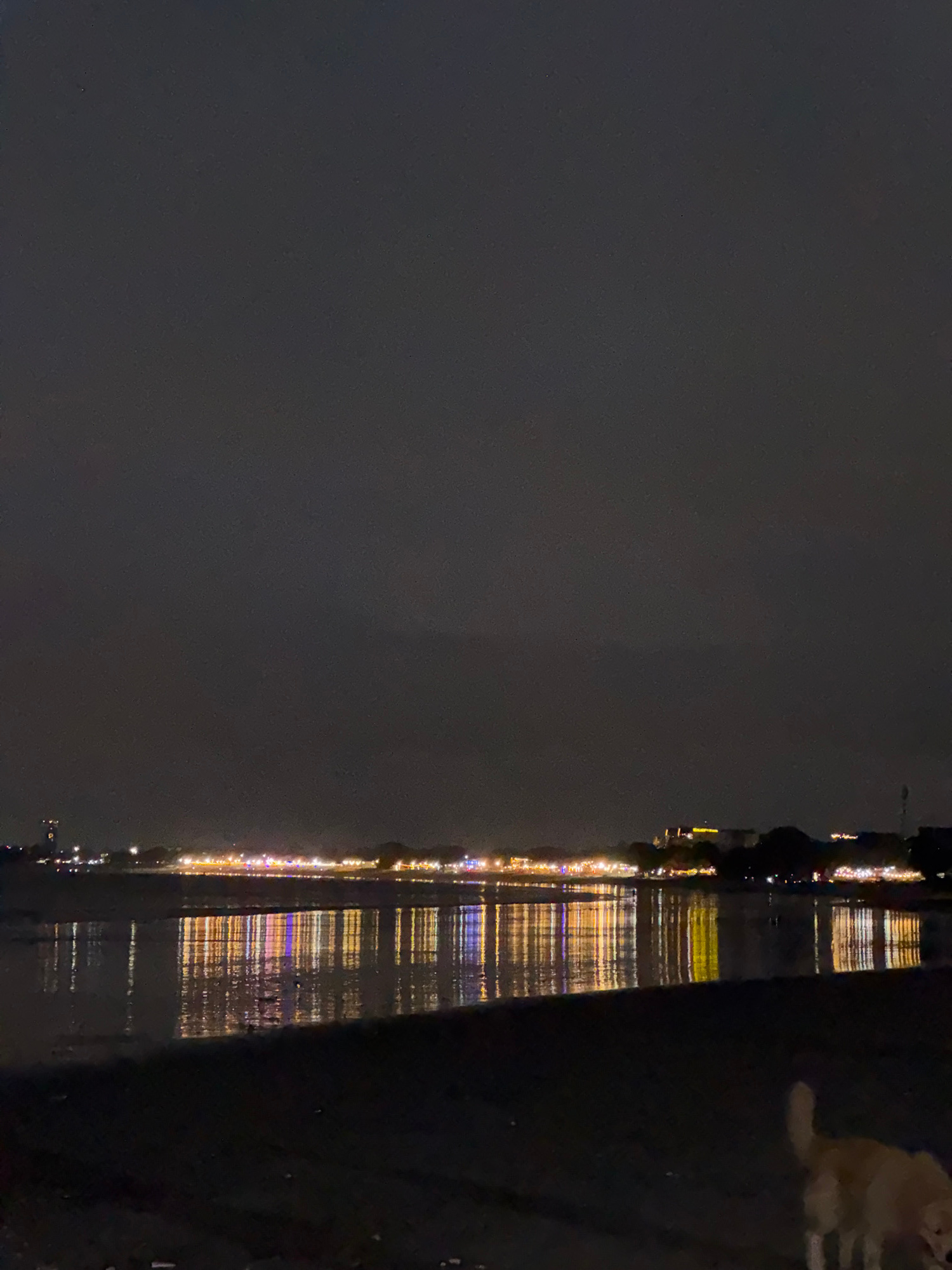 The image captures a nighttime scene at a beach in Kuta Selatan, Indonesia. The dark sky is dimly lit by a distant line of buildings with colorful lights, which are reflected in the calm water. The foreground is a dark beach, with a light-colored dog visible in the lower right corner, partially obscured and facing away from the camera. The overall impression is one of a peaceful, illuminated coastline at night.