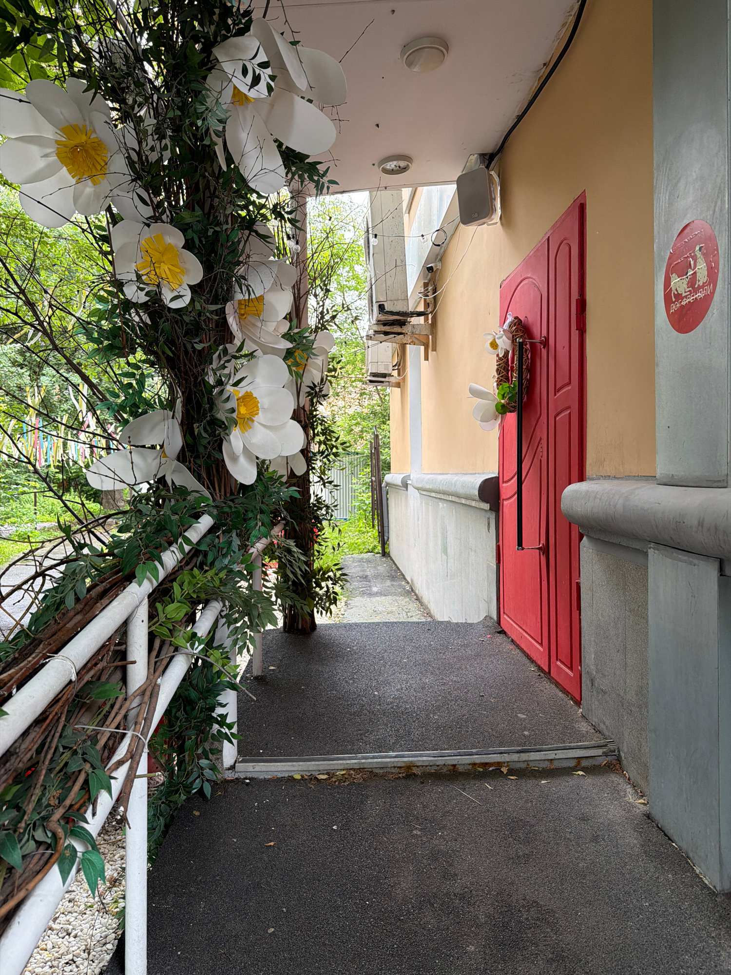 The image shows a walkway leading to a red door in a city setting, likely in Perm, Russia, given the Cyrillic inscription on a circular sticker on the wall. The walkway is paved with asphalt, and a white metal railing runs along the left side of the path. This railing is decorated with a rustic arrangement of branches and artificial white flowers with yellow centers, as well as green foliage. A tall, dark tree trunk is partially visible behind this decoration.
To the right of the walkway, a building has a yellow-painted facade. The red door has a dark vertical handle and a wreath with artificial white flowers and greenery hanging on it. Above the door, on the yellow wall, is a circular red sticker with Cyrillic text that reads "Добрайшний". An air conditioning unit is mounted on the wall above the door. The building has a concrete base or wall with a grey, textured finish. The ground slopes gently downwards towards the door.
The environment appears to be outdoors, with trees and greenery visible in the background to the left, suggesting it could be a residential building or a commercial establishment with an outdoor entrance. The overall impression is one of an entrance decorated for an occasion or season, with a mix of natural and artificial elements.