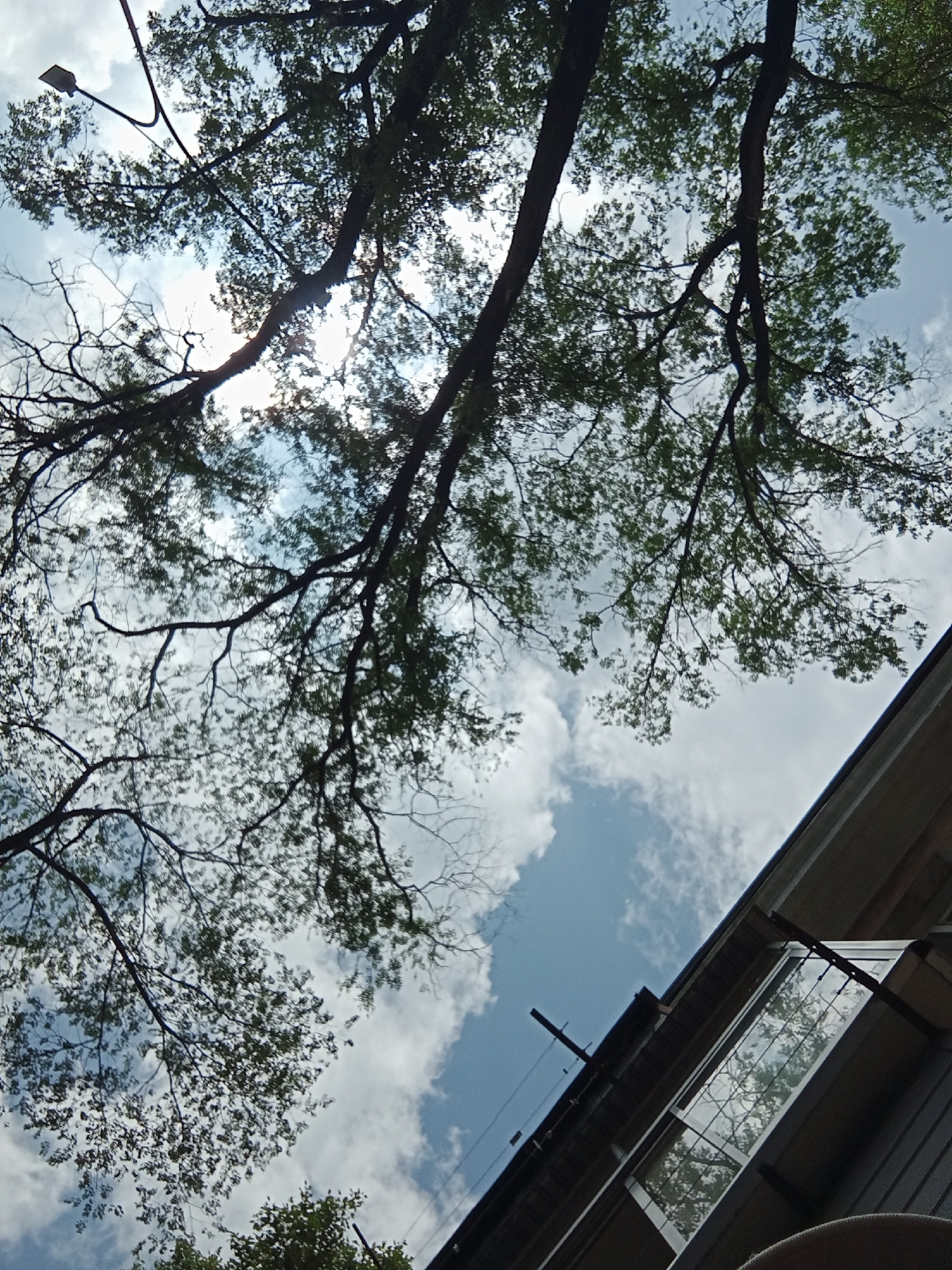 The image, taken from a low angle, captures a view looking up through the branches of trees towards a partly cloudy blue sky. The sun is partially obscured by the foliage, creating a dappled light effect. In the lower right quadrant of the image, a portion of a building's roof and side is visible, with a window reflecting the sky and tree branches. A street lamp is visible in the upper left corner of the image. The scene appears to be an outdoor urban setting.
