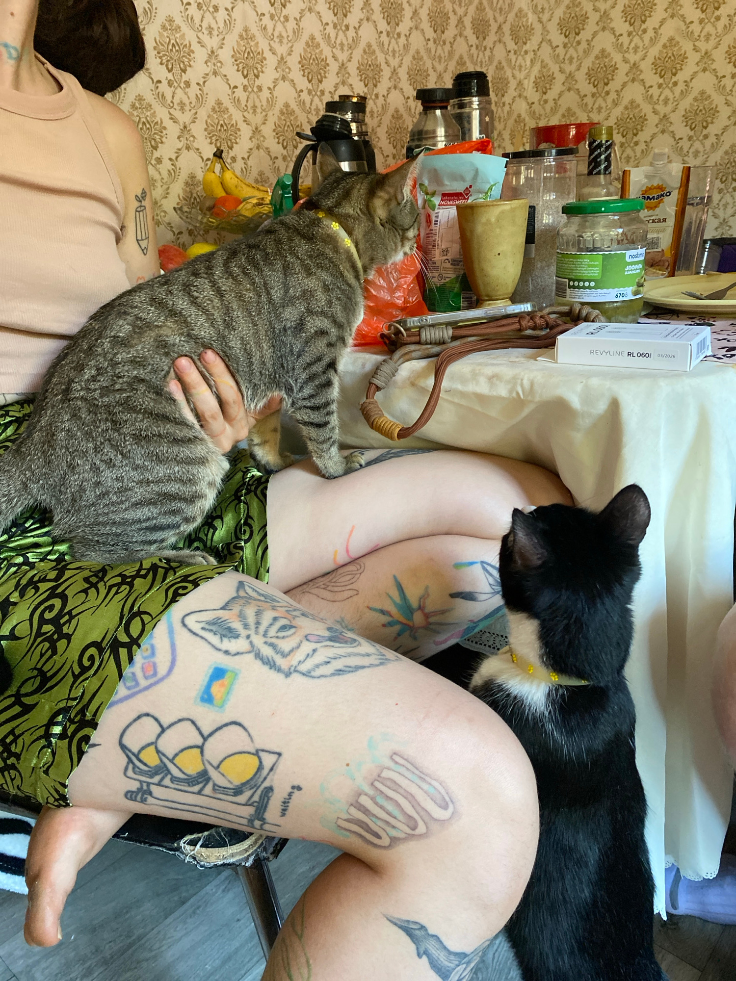 A high-angle, medium shot captures two cats and a tattooed person in what appears to be a domestic setting, possibly an apartment in Tbilisi, Georgia. The person, seen from the torso down, is wearing a light-colored tank top and a green patterned skirt. Their legs are adorned with numerous tattoos, including a wolf, traffic lights, and abstract designs.
One cat, a tabby, is being held by the person and is looking to the right. The other cat, a black and white feline, is positioned to the lower right of the frame, looking towards the tabby cat. Both cats are wearing yellow collars with decorative elements.
The scene includes a table covered with a white tablecloth, on which various objects are placed. These include jars of food, bottles, a cup, a box with text that appears to be medical packaging, and what looks like a phone. In the background, a patterned wallpaper adorns the wall, and a rack of fruit is visible. The lighting suggests an indoor environment, possibly during the day. The overall impression is a candid moment captured in a lived-in space.