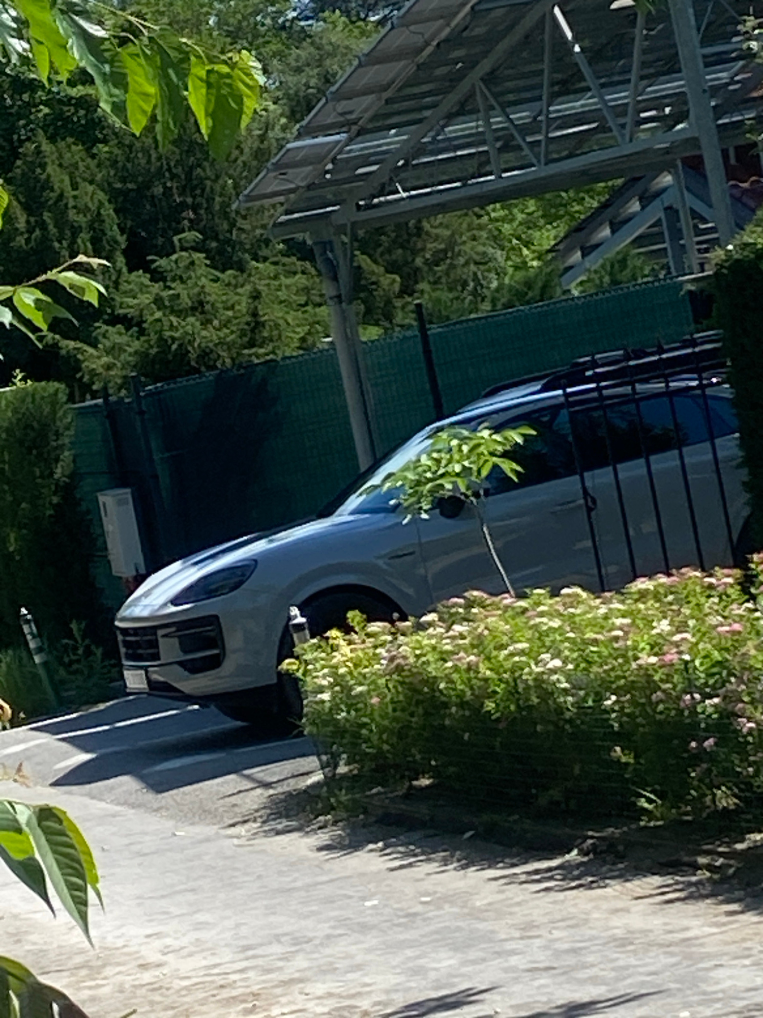 A light-colored Porsche Cayenne SUV is parked on a paved surface, possibly a driveway or parking lot, adjacent to a green fence. The SUV has a roof rack and is positioned in front of a covered structure with a solar panel array. In the foreground, there is a blooming shrub with small white and pink flowers. Lush green foliage, including trees and leaves, is visible in the background and framing the scene. The sun appears to be shining, casting shadows on the ground. No people are visible in the image. The specific location in Varna, Bulgaria, is not discernible from the visual information provided.