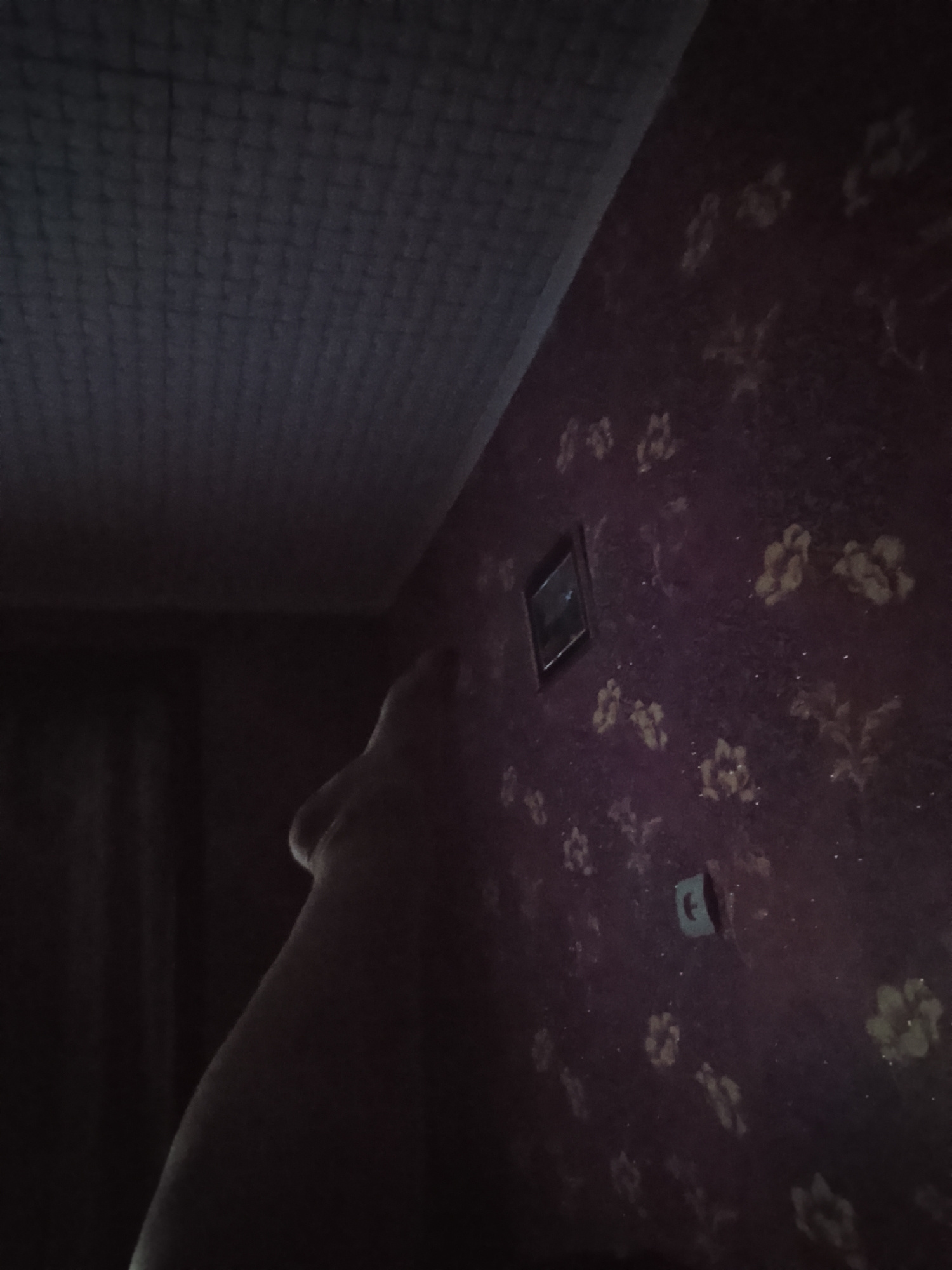 A dark, dimly lit interior scene featuring a hand reaching upwards towards a wall. The wall is covered in dark red wallpaper with a floral pattern. A small, dark framed picture is mounted on the wall. A light switch is visible below the picture. The ceiling is a textured, dark material. The lighting suggests a low-light environment, possibly nighttime or a room with limited illumination. The image appears to be taken from a low angle, looking upwards. There are no other visible people or objects of significant detail in the frame. The location is not specified within the image itself, and Ipatovo, Russia, is not inferable from the visual information provided.
