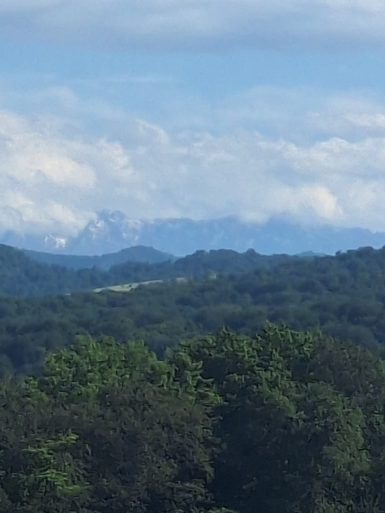 The image depicts a panoramic view of a mountainous landscape under a cloudy sky. In the foreground, lush green trees fill the bottom portion of the frame. Behind them, rolling hills covered in dense forest stretch towards the horizon. In the far distance, majestic snow-capped mountains rise above the treeline, partially obscured by clouds. The sky is a pale blue with soft, white clouds scattered across it. The overall impression is one of natural beauty and tranquility, with layers of vegetation and mountains receding into the distance. The scene is devoid of any human presence or man-made structures. The image is too distant and lacks detail to provide any specific information about Alkhasty, Russia.