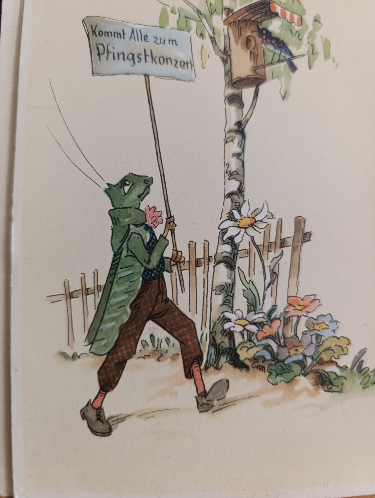 An illustration depicts a green grasshopper wearing a long green coat, brown pants, and gray shoes, walking left to right and carrying a sign. The sign, held by a thin pole, reads "Kommt Alle zum Pfingstkonzert" in German script. The grasshopper is walking past a wooden fence and a cluster of colorful flowers. In the background, a birch tree stands with a birdhouse attached, and a small blue bird is perched on its edge. The scene is set against a plain, light-colored background, suggesting an outdoor environment, possibly a park or garden. The style is reminiscent of children's book illustrations, with a whimsical and friendly tone. The specific location within a city is not depicted or implied.