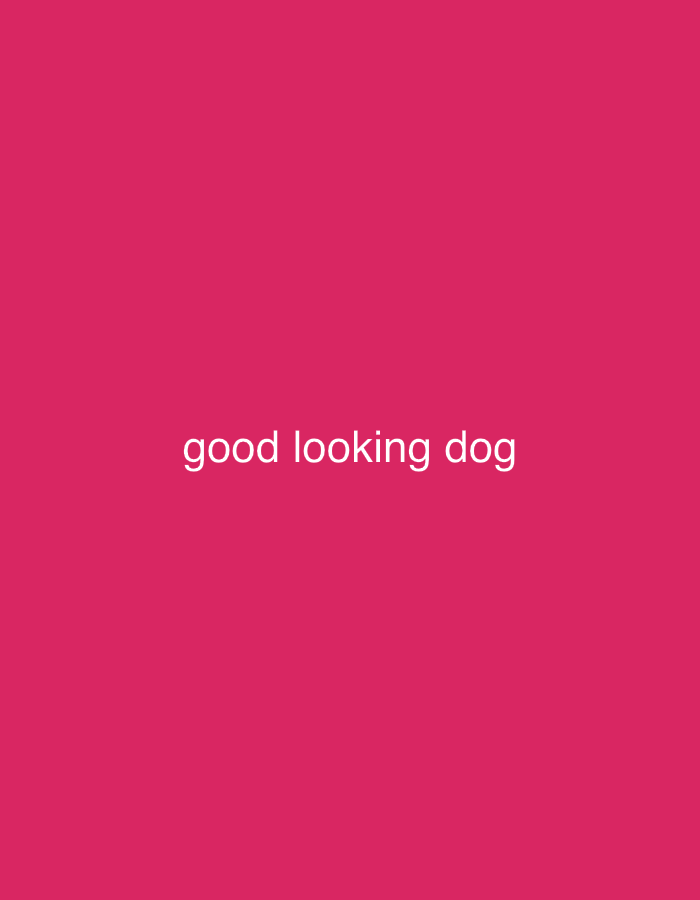 The image shows a plain, solid pink background with the white text "good looking dog" centered horizontally and vertically. There is no discernible location in Mararaba, Nigeria, as the image is entirely digital and lacks any environmental context. There are no people, subjects, objects, actions, or interactions present.