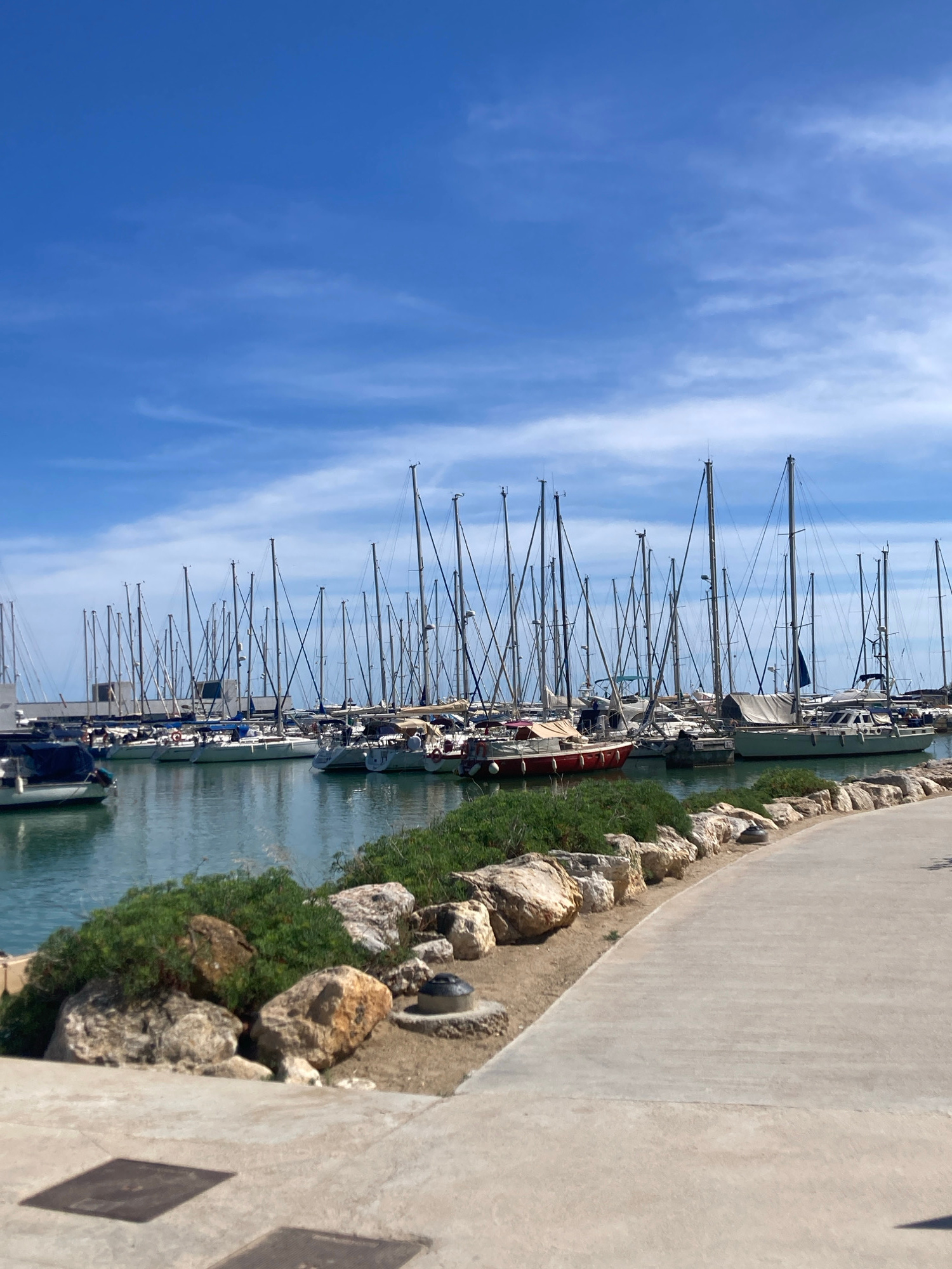 The image depicts a bright, sunny day at a marina, likely in the coastal city of Sitges, Spain, characterized by a clear blue sky with scattered white clouds. The foreground features a paved walkway curving to the right, bordered by a low wall constructed of large, natural stones and dense green vegetation. Beyond the wall, the tranquil blue water of the marina is visible, filled with numerous sailboats. The sailboats, predominantly white and varying in size, are moored side-by-side, their tall masts creating a dense, vertical forest against the sky. Some sailboats have their sails furled, while others appear to have awnings or covers. In the background, a long, low building with a modern architectural style can be seen behind the moored boats. The overall scene conveys a sense of peaceful maritime activity under a beautiful sky.