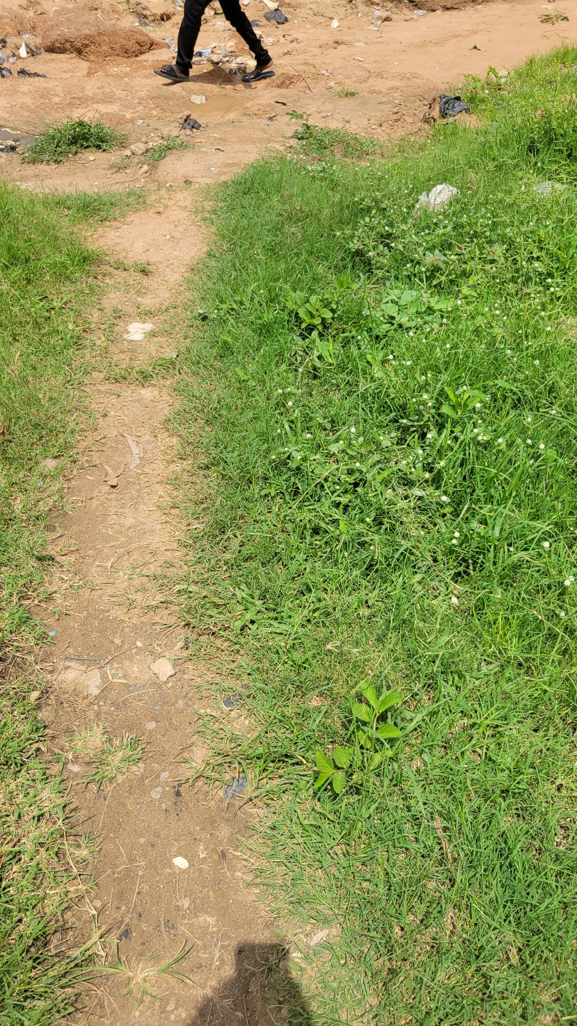 The image shows a dirt path bordered by tall green grass. In the upper portion of the image, a person wearing black pants and sandals walks away from the camera on the path. The environment appears to be outdoors in a rural or undeveloped area, possibly in Mayo Dasa, Nigeria, given the context. There are some scattered debris and a shadow of a person on the ground.