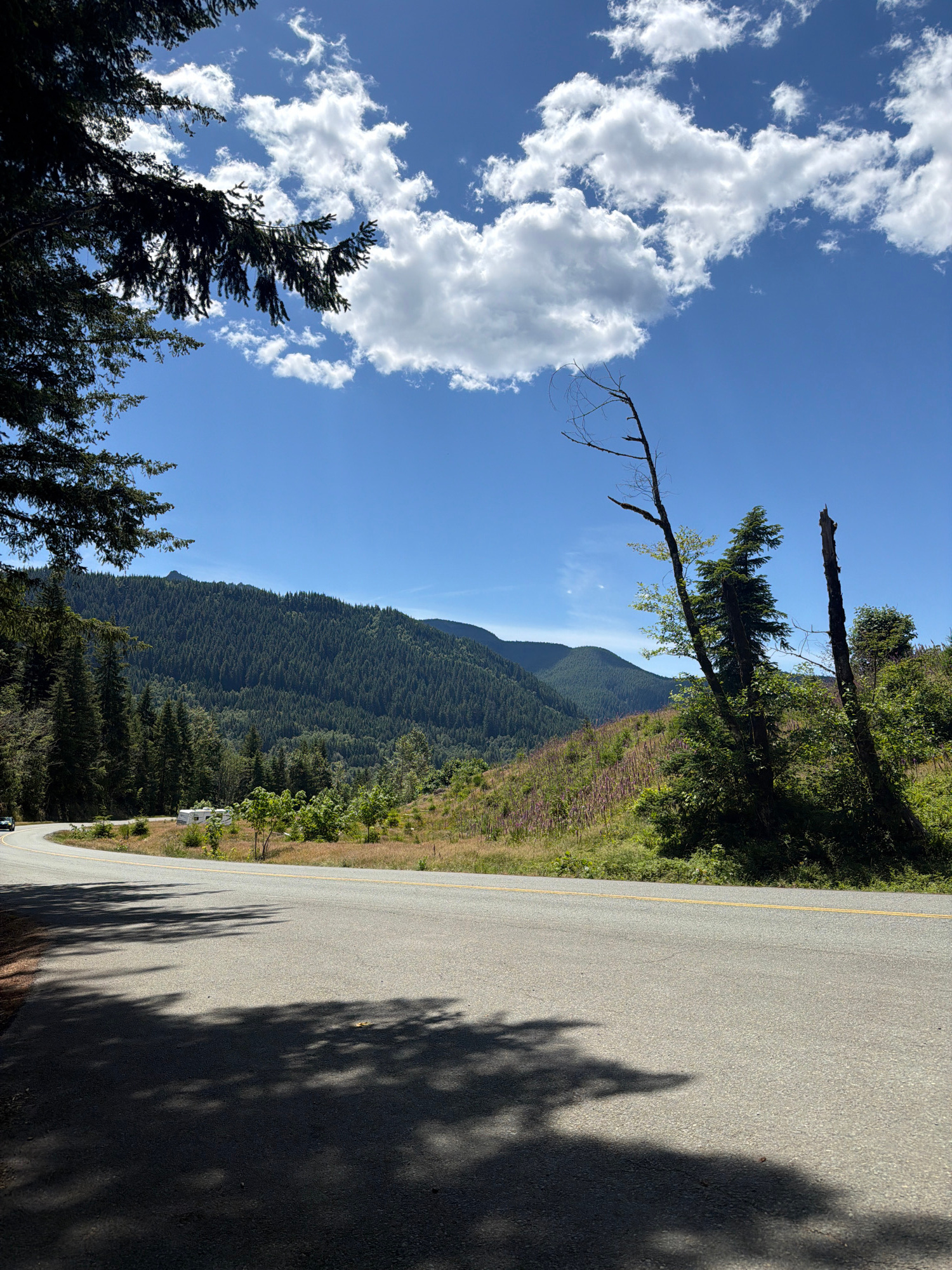 The image depicts a scenic view from a road winding through a forested mountain landscape. The scene is set in Ariel, United States, under a clear blue sky with scattered white clouds. The time of day appears to be late morning or early afternoon, given the bright sunlight casting distinct shadows.
The foreground features a paved road with a yellow dividing line, suggesting a highway or scenic route. Lush green trees and foliage line the side of the road, with some taller evergreen trees prominent in the lower left. Shadows of the trees are cast across the road, indicating the sun's position.
The middle ground showcases a vast expanse of densely forested mountains that recede into the distance, creating a sense of depth and scale. The mountain slopes are covered in a thick carpet of trees, with some patches of lighter vegetation or cleared areas visible. A few dead or bare tree branches extend from the edge of the forest towards the sky, adding a touch of ruggedness to the otherwise vibrant landscape.
The overall mood is one of natural beauty and tranquility. The clear weather and sunny disposition contribute to a peaceful and inviting atmosphere. There is no visible text in the image. The image is oriented vertically, suggesting it was captured as a portrait-style photograph.