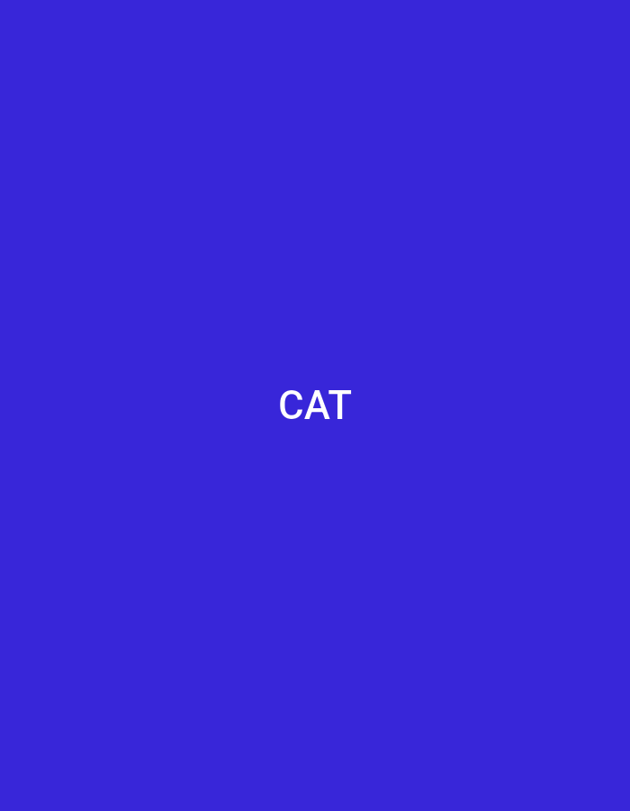 This media file features a plain, solid blue background. Centered on the screen, in white text, is the word "CAT". There are no people, objects, or discernible scene details present. The image appears to be a graphic design element or a simple text display against a colored backdrop. There are no environmental cues that suggest a specific time of day, weather, or location beyond the text itself. The overall presentation is minimal and direct, focusing solely on the word "CAT".