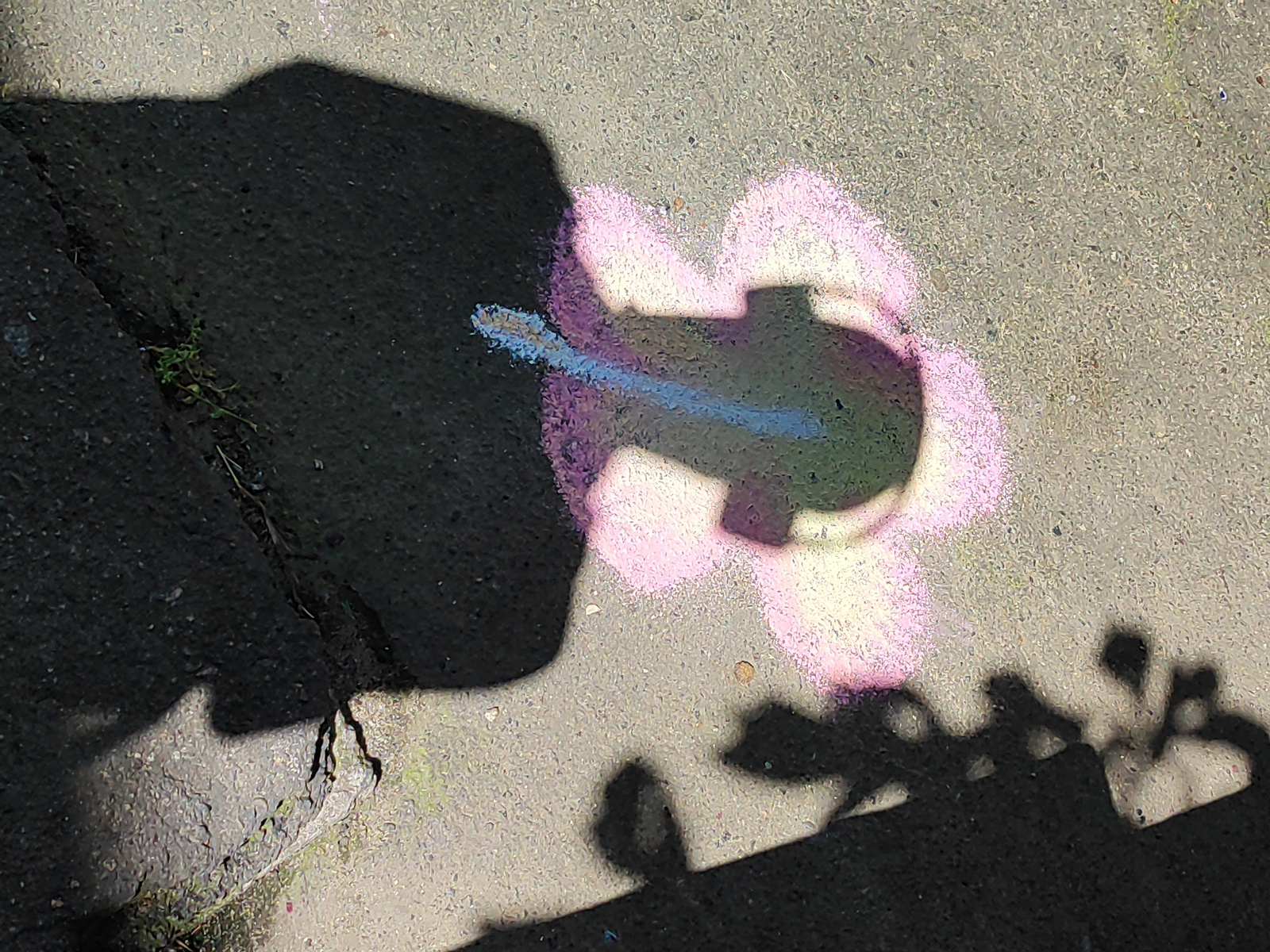 The image displays a chalk drawing on a concrete surface, possibly a sidewalk or driveway. The drawing features a stylized flower with pink and purple chalk petals and a blue line in the center. A dark shadow, likely cast by a person or object, partially covers the drawing and the surrounding pavement. The scene suggests an outdoor setting on a sunny day, indicated by the distinct shadows. The concrete appears somewhat worn, with a crack visible on the left side of the image. Small green plants are growing in the crack. The overall impression is one of a playful, ephemeral art creation in a mundane environment. There is no visible text.