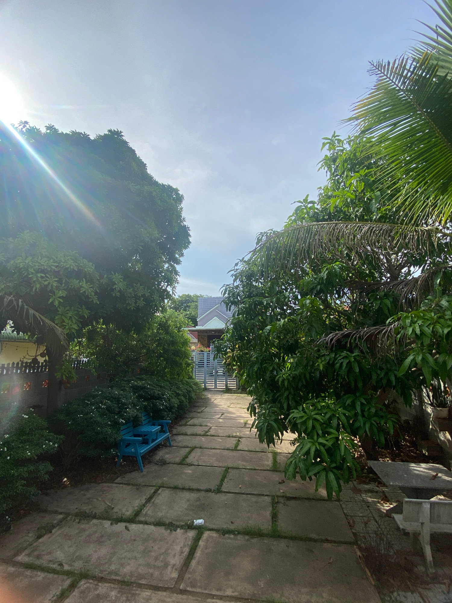 The image shows a pathway paved with large, square concrete slabs leading towards a gated entrance. To the left of the pathway, lush green trees and dense foliage are visible, with a bright blue bench situated amongst the greenery. A portion of a fence is also present on the left. To the right, more trees with dense green leaves and some dried palm fronds are prominent. The sky is a clear blue with some wispy clouds. The scene suggests an outdoor area, possibly a garden or yard, in a tropical or subtropical climate. The architecture of the building visible beyond the gate, with its pitched roof and pastel colors, is indicative of a residential or resort property, fitting for the location of Mũi Né, Vietnam, a coastal resort town. The sunlight creates lens flares on the left side of the image, indicating it was taken during daylight hours. No people are visible in the frame.