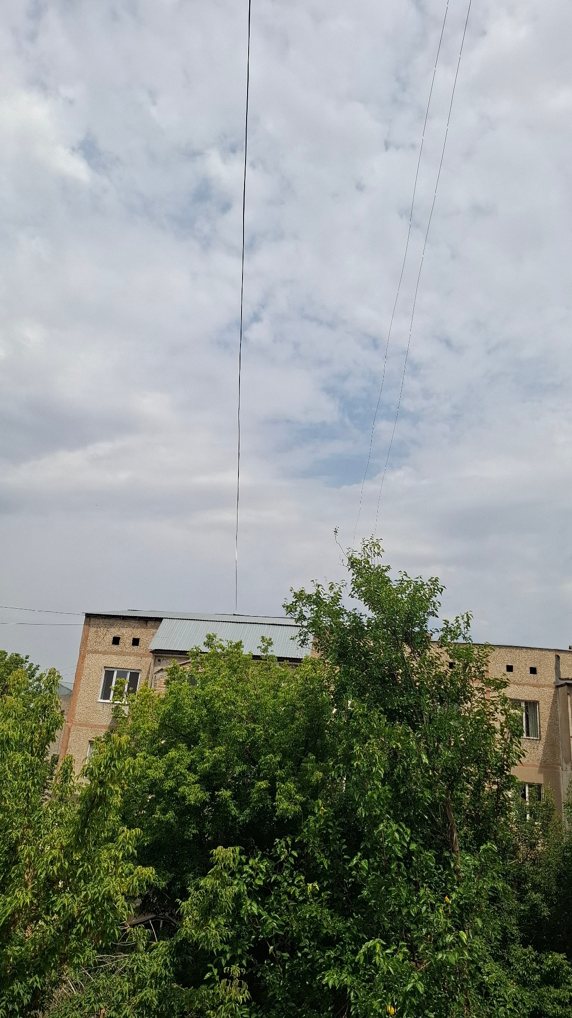 A low-angle, eye-level, medium shot captures a residential building in Shymkent, Kazakhstan, partially obscured by lush green trees. The building, constructed of light brown bricks, features a gray metal roof and several windows, some with white frames. Multiple utility wires traverse the sky, casting thin, dark lines against the predominantly cloudy sky with patches of blue. The trees in the foreground are dense and leafy, creating a natural screen that partially hides the building's lower sections. The scene suggests a typical urban residential area in the city.