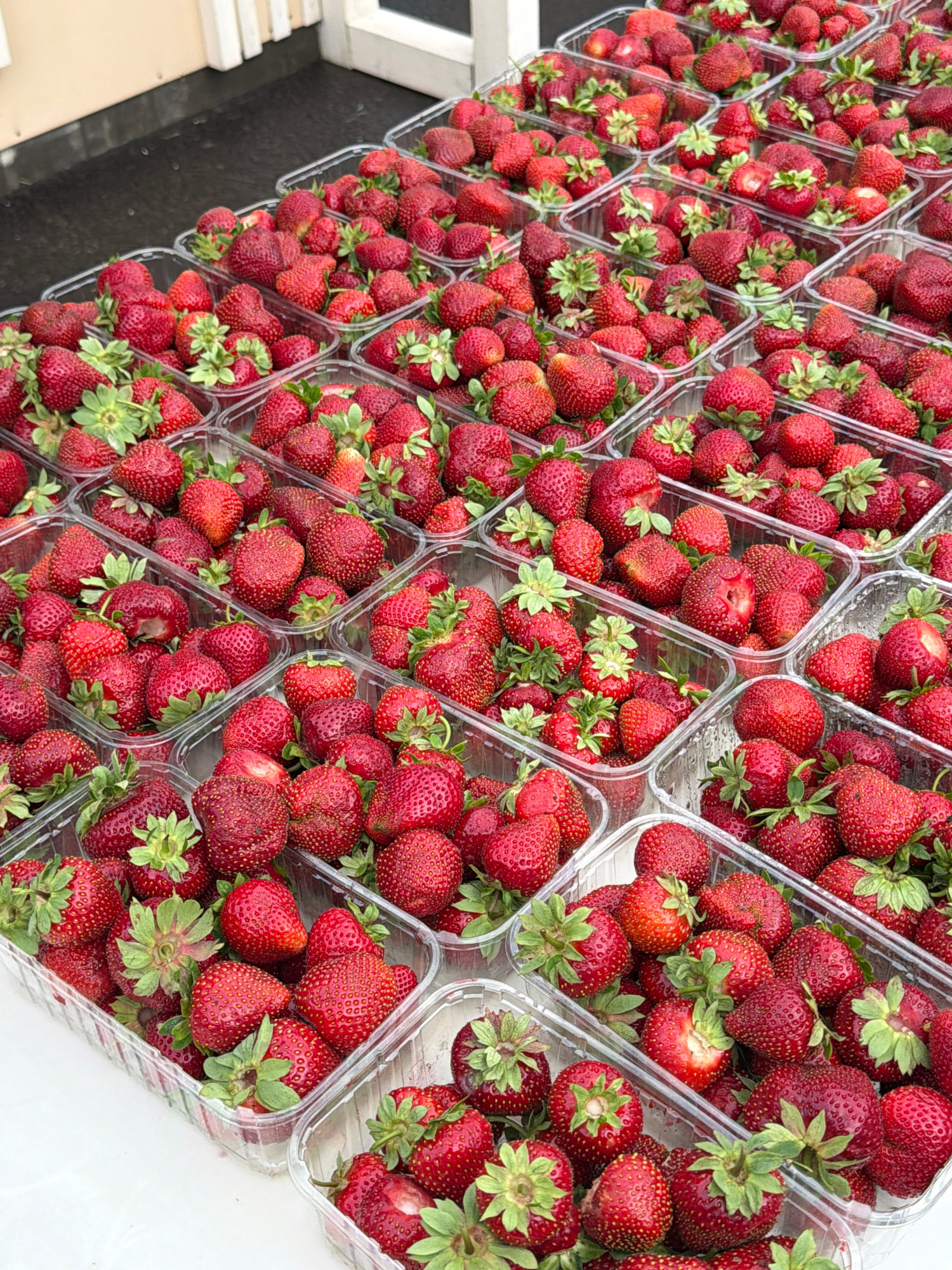 A high-angle medium shot shows numerous clear plastic clamshell containers filled with fresh, bright red strawberries. The containers are arranged in rows and appear to be on display, possibly at a market. The strawberries are plump and varied in size, with some showing green stems and leaves. The background is blurred, but suggests an outdoor setting with a building and white railings. The lighting is natural and bright, highlighting the vibrant color of the fruit.