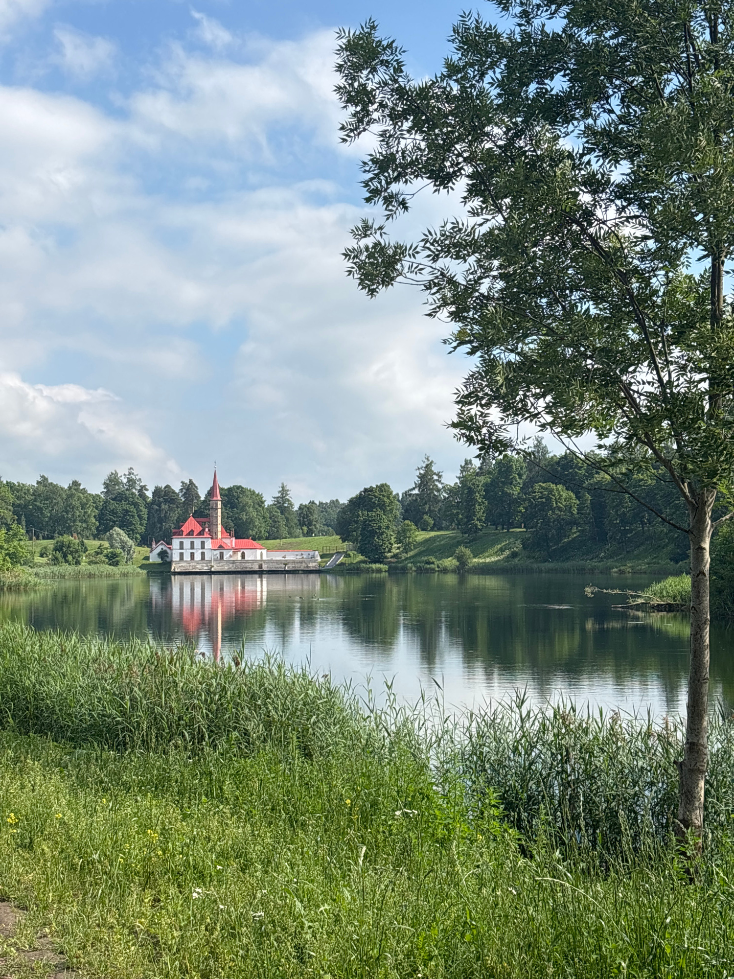 This is a vertical, medium-shot photograph of the Priory Palace in Gatchina, Russia, taken on a cloudy day. The Priory Palace, with its distinctive red roof and white walls, is situated on the edge of a calm lake. The palace is reflected in the water, creating a symmetrical image. The foreground of the image is dominated by lush green grass and reeds. In the background, a dense forest of trees surrounds the lake and the palace. A large tree with green leaves frames the right side of the photograph, obscuring part of the sky and the distant landscape. The sky is filled with white, fluffy clouds. There are no people or animals visible in the image.