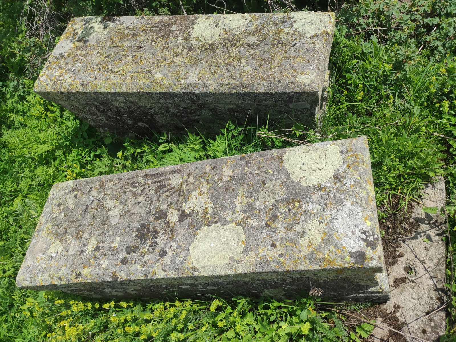 Two weathered, rectangular stone sarcophagi are partially overgrown with green vegetation and patches of lichen in an outdoor environment. The sarcophagi are positioned at an angle to each other, with the foreground sarcophagus lying horizontally and the sarcophagus behind it angled upwards. The stone surfaces exhibit signs of age and exposure, with a mottled texture and varying shades of grey, green, and yellow from the lichen. The surrounding area is dense with various types of green plants, including ferns and smaller flowering plants with yellow blooms. The scene appears to be in a rural or natural setting, possibly an ancient burial site. The lighting suggests a daytime scene with direct sunlight casting shadows.