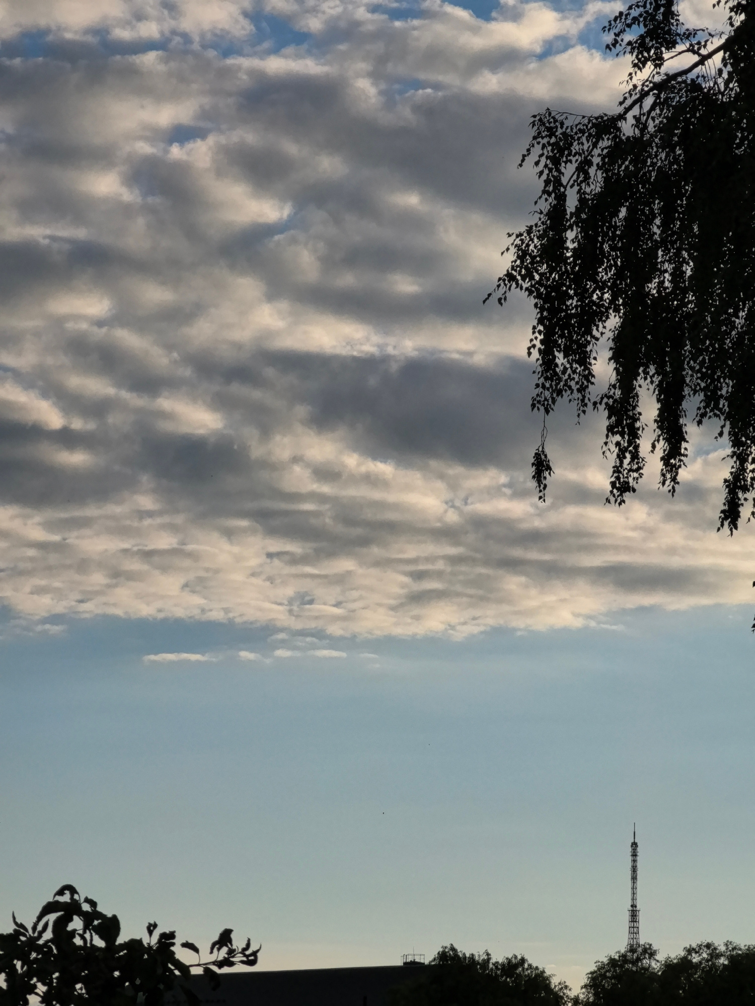 A low-angle shot captures a dusky sky over Unknown, Unknown. The sky is a gradient of pale blue to a lighter hue near the horizon, with scattered clouds. A tall, lattice radio tower stands on the right side of the frame, silhouetted against the sky. Below the tower, a line of trees and the roof of a building are visible, also in silhouette. The upper right portion of the image features the silhouette of a tree with dangling branches and leaves, partially obscuring the clouds. The overall impression is one of dusk or early evening.