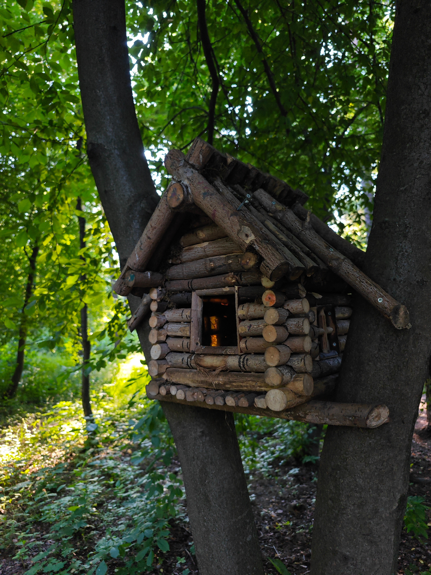 A small, rustic wooden birdhouse is mounted between two tree trunks in a forest setting. The birdhouse is constructed from small logs and branches, with a slanted roof made of longer pieces of wood. A small, square window is visible on the front of the birdhouse, with a warm light emanating from within. The trees are tall and leafy, with sunlight filtering through the canopy and illuminating the forest floor, which is covered with greenery and fallen leaves. The overall scene is serene and natural.