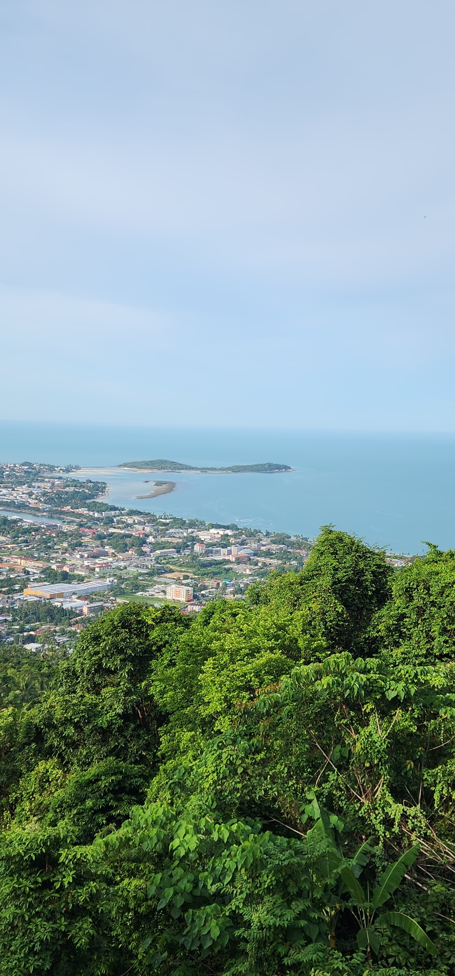This is a vertical, eye-level, medium shot from a high vantage point, looking out over a coastal city and the ocean. The foreground is dominated by dense, lush green foliage, with large leaves and branches obscuring the view. Beyond the trees, a cityscape unfolds, characterized by numerous buildings of various sizes and colors, including some with orange and white facades. The city extends to the coast, where a body of calm, turquoise water meets the land. In the distance, two small, tree-covered islands rise from the sea, connected by a narrow strip of sand visible at low tide. The sky above is a pale, clear blue. This view is consistent with a location in Ko Samui, Thailand, likely from a viewpoint offering a panoramic vista of the island's coastline and offshore features.