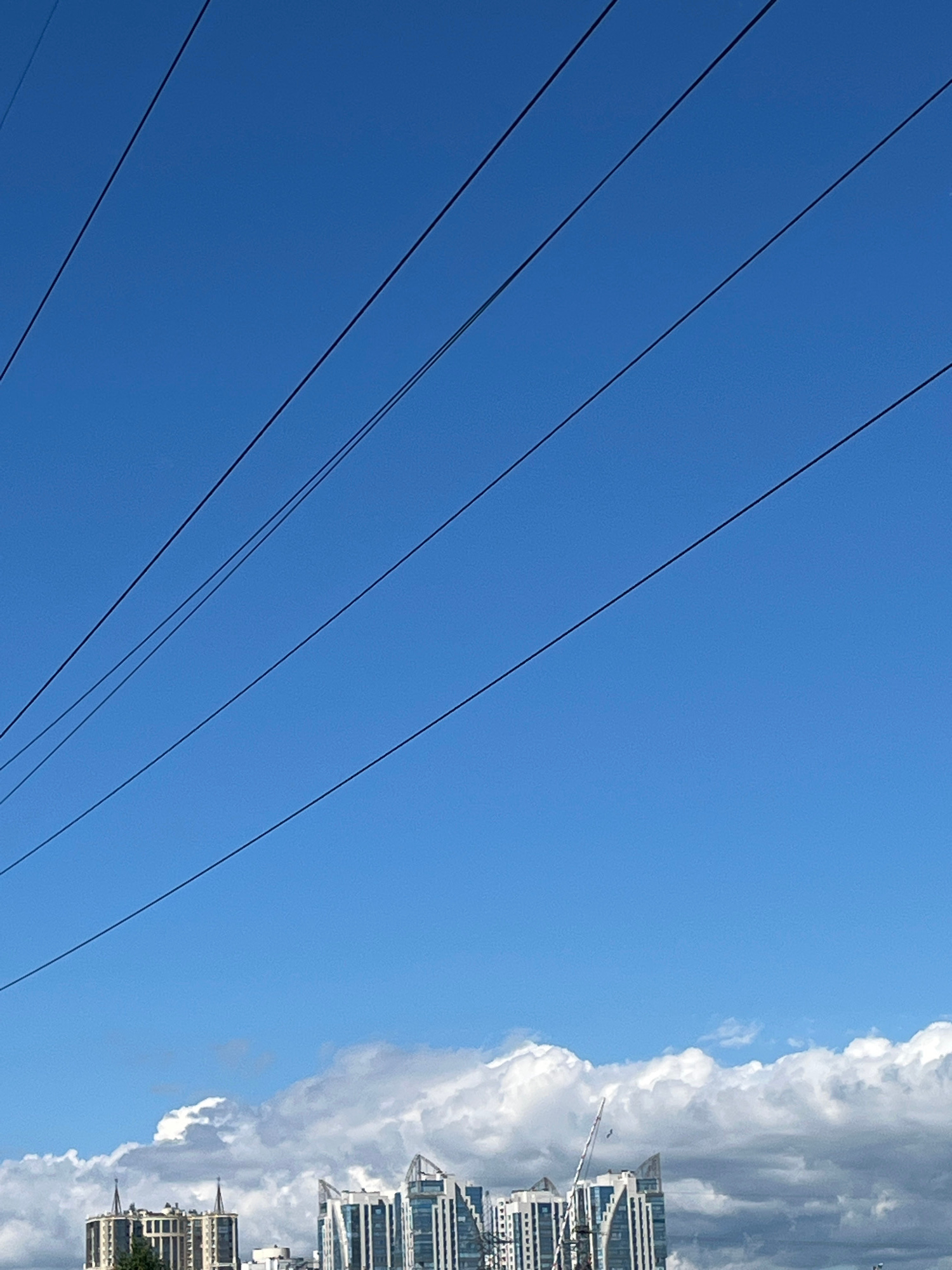 The image captures a clear blue sky with multiple parallel black power lines diagonally crossing the upper portion. Below, a layer of white and gray clouds stretches across the horizon. Peeking through the clouds are several modern buildings, characteristic of a city skyline. The architecture suggests a contemporary urban environment. The presence of construction cranes hints at ongoing development. This scene is consistent with a view from the city of Saint Petersburg, Russia, where such power line arrangements and modern urban development are common. There are no people visible in the image.