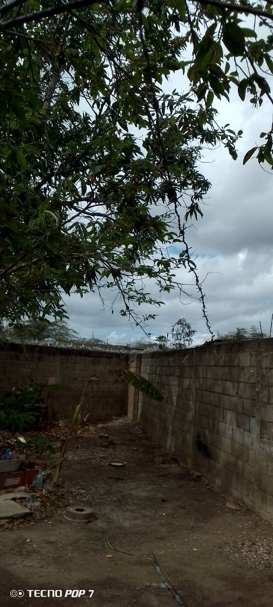 The image depicts an overcast sky viewed through the branches of a tree with dark green leaves. In the foreground, a concrete block wall encloses an outdoor area. The wall is constructed from grey, rectangular blocks and appears weathered. Within the enclosed space, the ground is rough and uneven, covered with dirt, small stones, and dried leaves. A young banana plant with large green leaves stands near the wall. On the left side of the enclosure, some debris is visible, including what appear to be metal objects and containers. In the distance, beyond the wall, is a landscape with scattered trees and vegetation under a cloudy sky. The overall impression is one of an undeveloped or neglected outdoor space, possibly a yard or a construction site, in a tropical or subtropical environment. The lower left corner of the image contains a watermark that reads "TECNO POP 7".