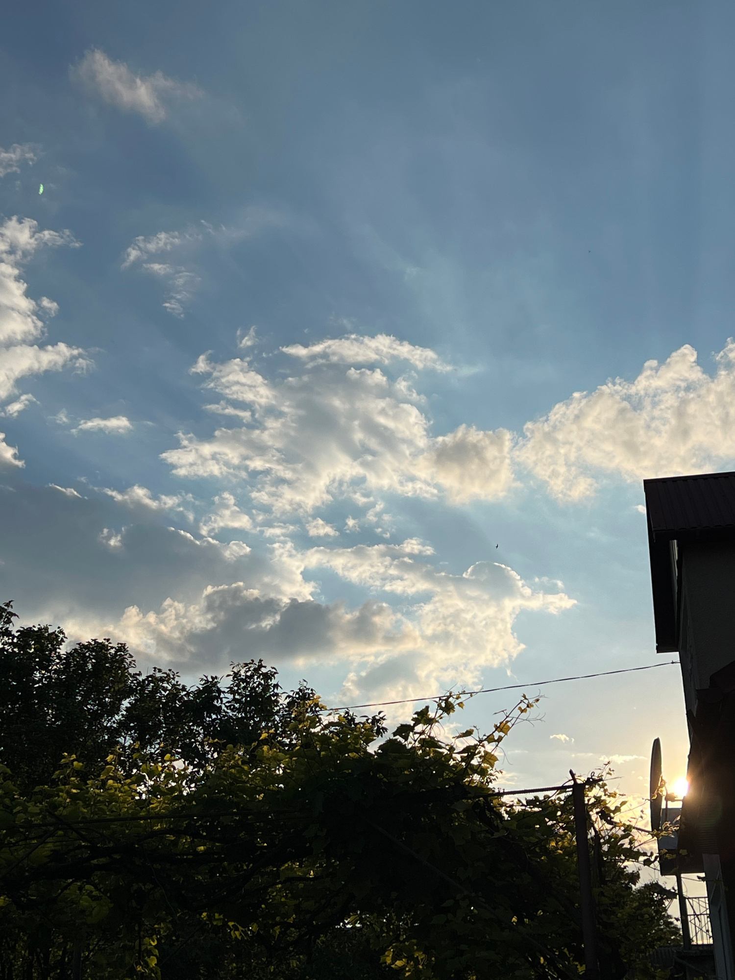 The image captures a sky with scattered white clouds and sun rays piercing through, creating a dappled effect. The upper portion of a building with a dark roof is visible on the right side, partially obscuring the sky. In the foreground, the silhouettes of dark green trees and vines are prominent, with some leaves illuminated by the sunlight. A light pole with wires is also visible in the lower right quadrant of the image. The scene is set in Ilavche, Ukraine.
