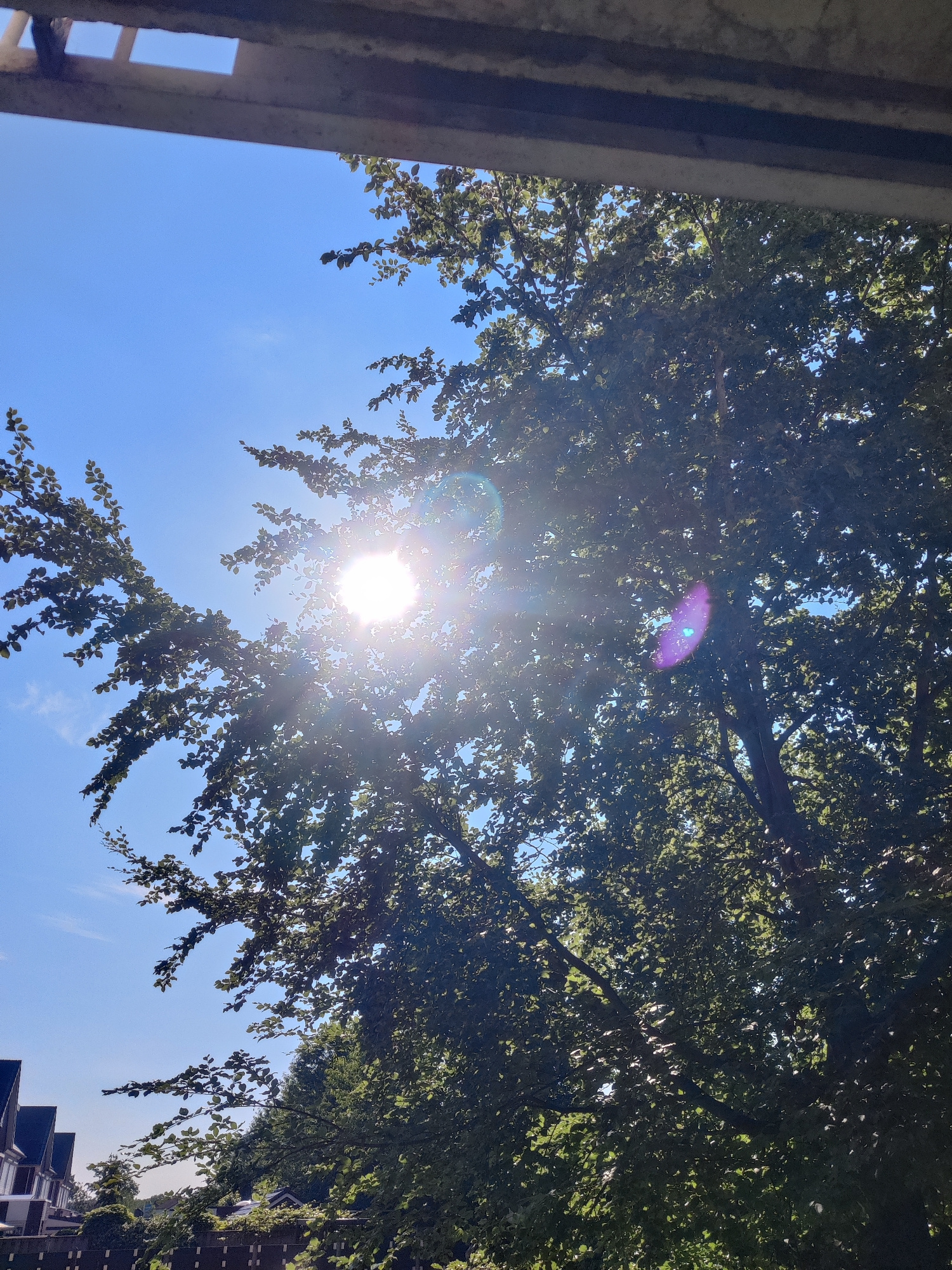 The image shows a view upwards through trees towards a bright blue sky, partially obscured by a concrete structure at the top. The sun is visible through the foliage, creating lens flare and highlights. The trees are full of green leaves. In the lower left quadrant, several houses with dark roofs and white facades are visible, suggesting a residential area. In the foreground, a dark fence runs horizontally across the bottom of the image. The scene appears to be an outdoor residential setting in Winterswijk, Netherlands, on a clear, sunny day. There are no people or animals visible in the image.