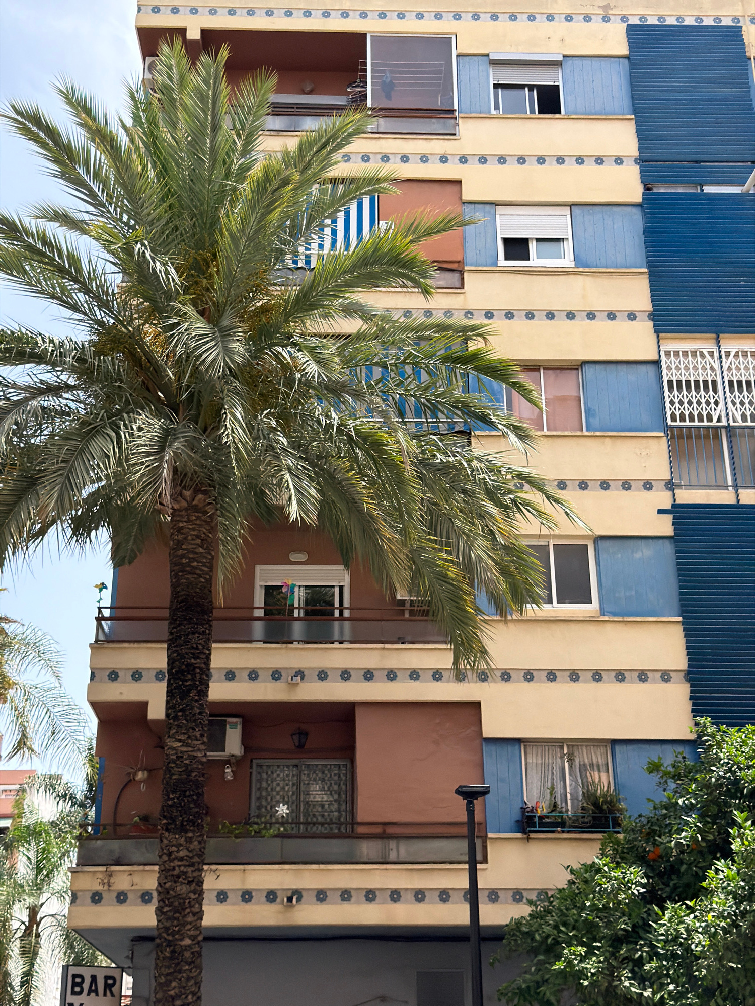 The image captures a segment of a building facade, characterized by its alternating bands of cream and blue, accented with a decorative blue floral pattern. Several windows are visible, some with open shutters, revealing interiors with blinds or grates. A large palm tree with dense fronds dominates the foreground, obscuring part of the building and casting shadows. In the upper right, the branches of a fruit tree, possibly an orange tree with visible fruit, extend into the frame. The scene appears to be outdoors, bathed in natural light, suggesting a daytime setting. The architecture suggests a warm climate. A street lamp pole is partially visible on the right. A sign with the partial text "BAR" is also visible on the far right. The overall impression is one of a sunny day in a location with a Mediterranean or similar climate, where lush vegetation grows alongside urban structures.
