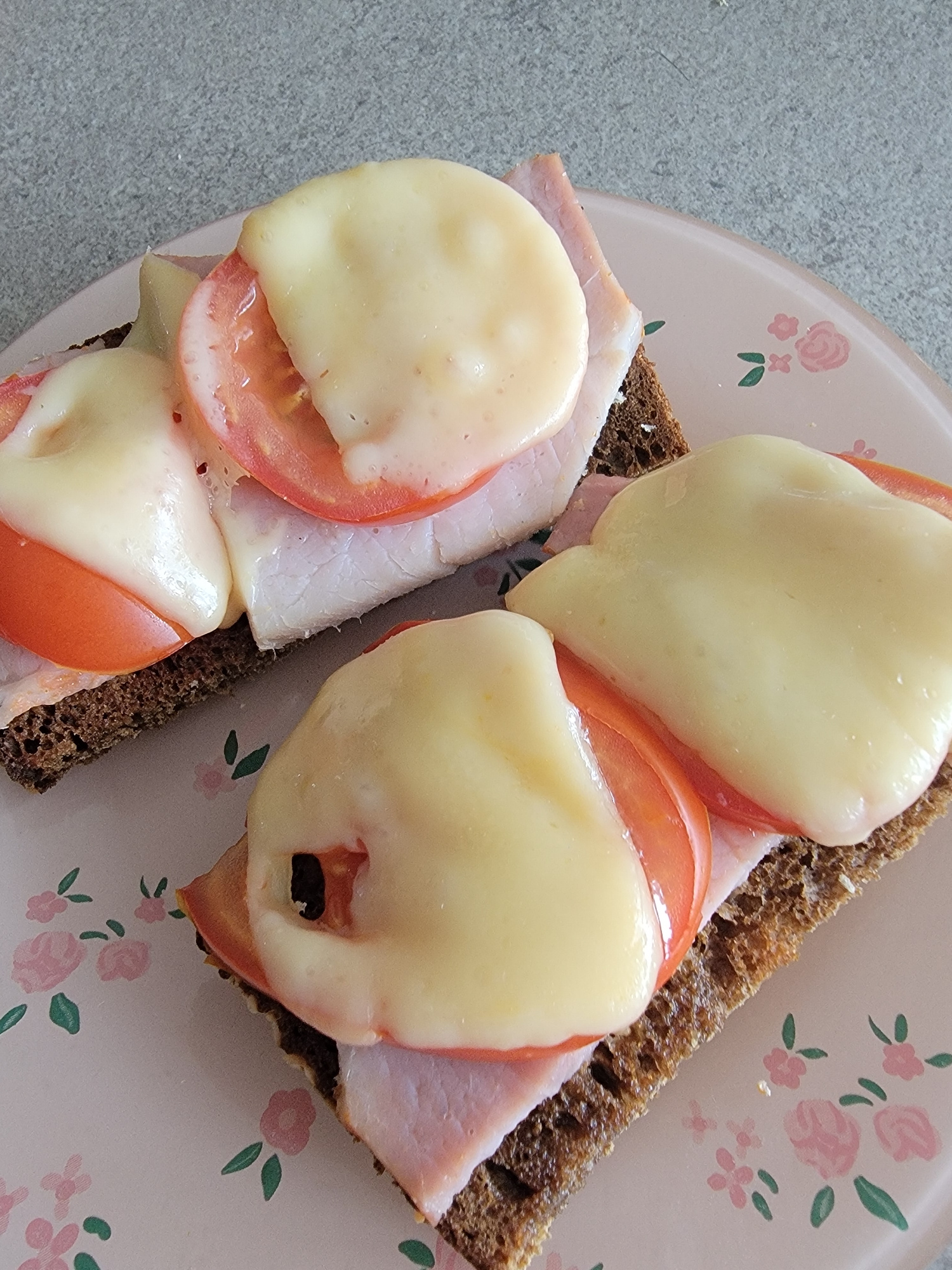 Two open-faced sandwiches are presented on a pink plate with a floral pattern. Each sandwich consists of a slice of dark bread topped with ham, tomato slices, and melted cheese. The sandwiches are arranged diagonally on the plate. The plate is situated on a grey, textured surface, possibly a countertop. The lighting appears to be natural, casting subtle shadows. The background is out of focus, emphasizing the food. No individuals are visible in the image. The scene is indoors, within a domestic setting.