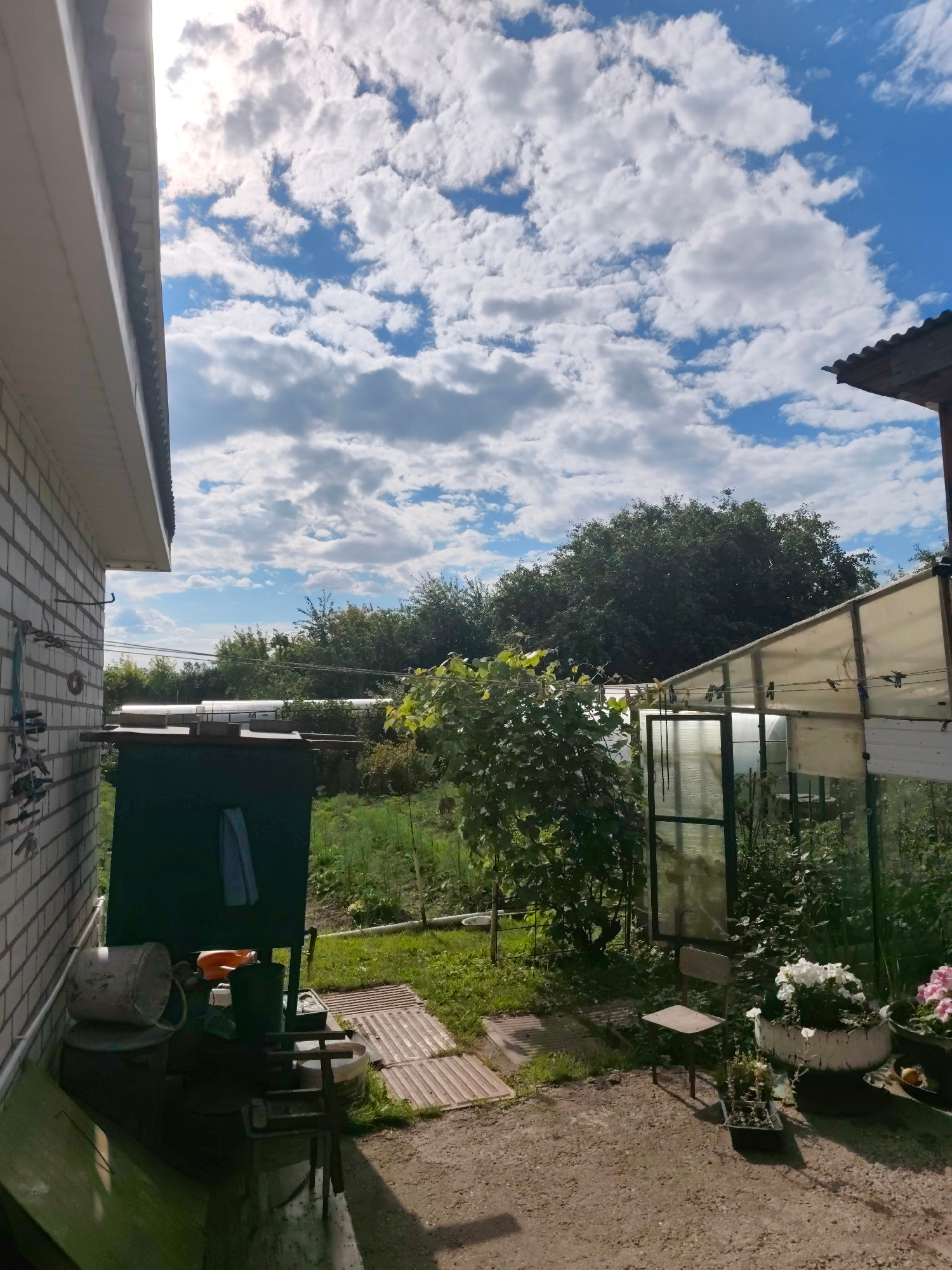 The image depicts a backyard scene in Bor, Russia, on a bright, cloudy day. A white brick building is visible on the left, with a portion of its roof extending into the frame. To the right of the building, a green water tank stands, with a towel hanging from it and several buckets and containers nearby. Further into the yard, a greenhouse with translucent roofing and green metal framing is visible. Various plants and trees surround the greenhouse and the rest of the yard. A small, simple chair sits in front of the greenhouse. In the distance, a line of dense trees forms a backdrop against a blue sky dotted with white, fluffy clouds. The ground is covered with gravel and patches of grass. There are no people or animals visible in the scene.