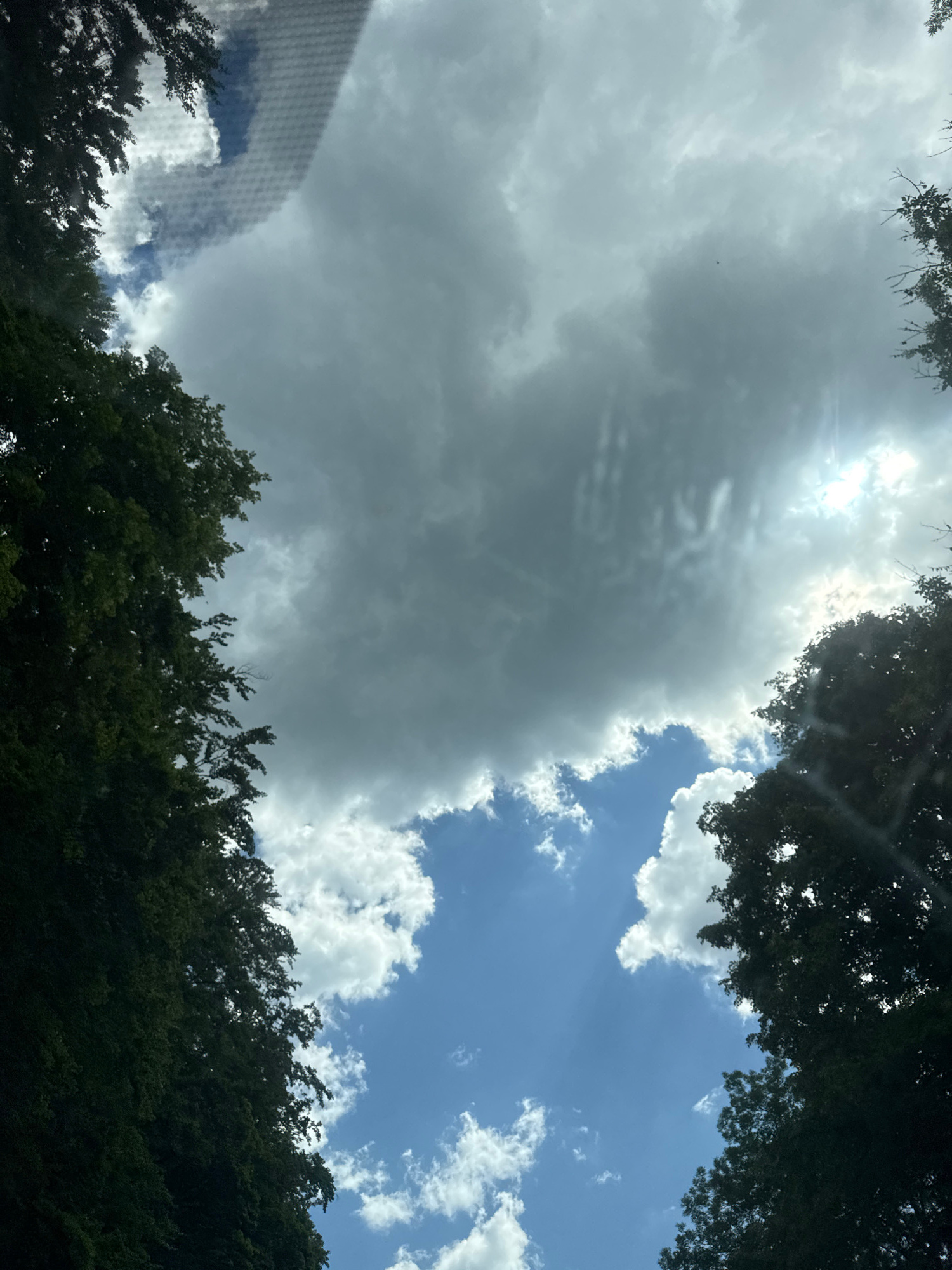 The image is a low-angle shot looking up at a sky filled with dramatic clouds and a bright sun. The top and bottom edges of the frame are dominated by dark green foliage from trees, suggesting a wooded area. Some of the foliage appears to be against a bright, textured surface, possibly a window screen or netting, on the left side of the image.
The sky is a mix of bright blue patches with fluffy white cumulus clouds and large, darker, more ominous gray storm clouds. Sunlight is filtering through the clouds, creating rays and highlighting some of the cloud formations. The overall impression of the sky is dynamic, with a transition between clear, sunny weather and approaching or lingering clouds.
The time of day appears to be daytime, likely mid-morning or afternoon, given the brightness of the sun. The weather seems mixed, with sunshine and clouds, potentially indicating a chance of rain or a recent shower. The location, Les Rousses, France, provides a general geographical context. There is no visible text in the image. The scene evokes a sense of natural beauty and the changing moods of the sky.