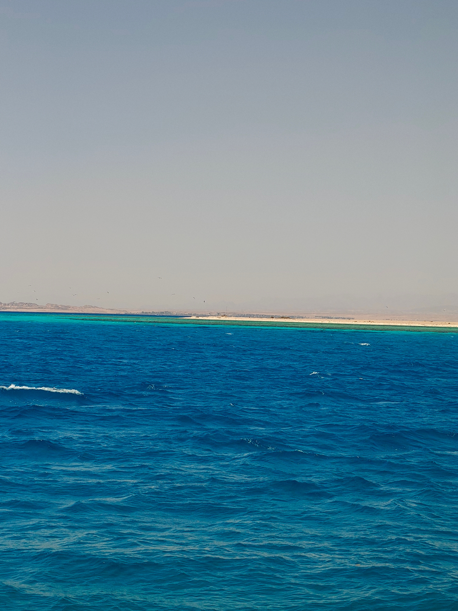This image depicts a seascape with a clear distinction between the deep blue ocean in the foreground and the shallow, turquoise waters near a distant shoreline. The sky above is a pale, hazy gray. The shoreline features sandy land with some scattered vegetation and structures that appear to be buildings, suggesting a populated area. Several small birds are visible flying in the sky above the water and the distant land. The sea is slightly choppy with visible waves and foam. The scene likely represents a view from a boat or elevated vantage point overlooking the Red Sea coast of Hurghada, Egypt, given the characteristic clear, multi-hued waters and the arid landscape.