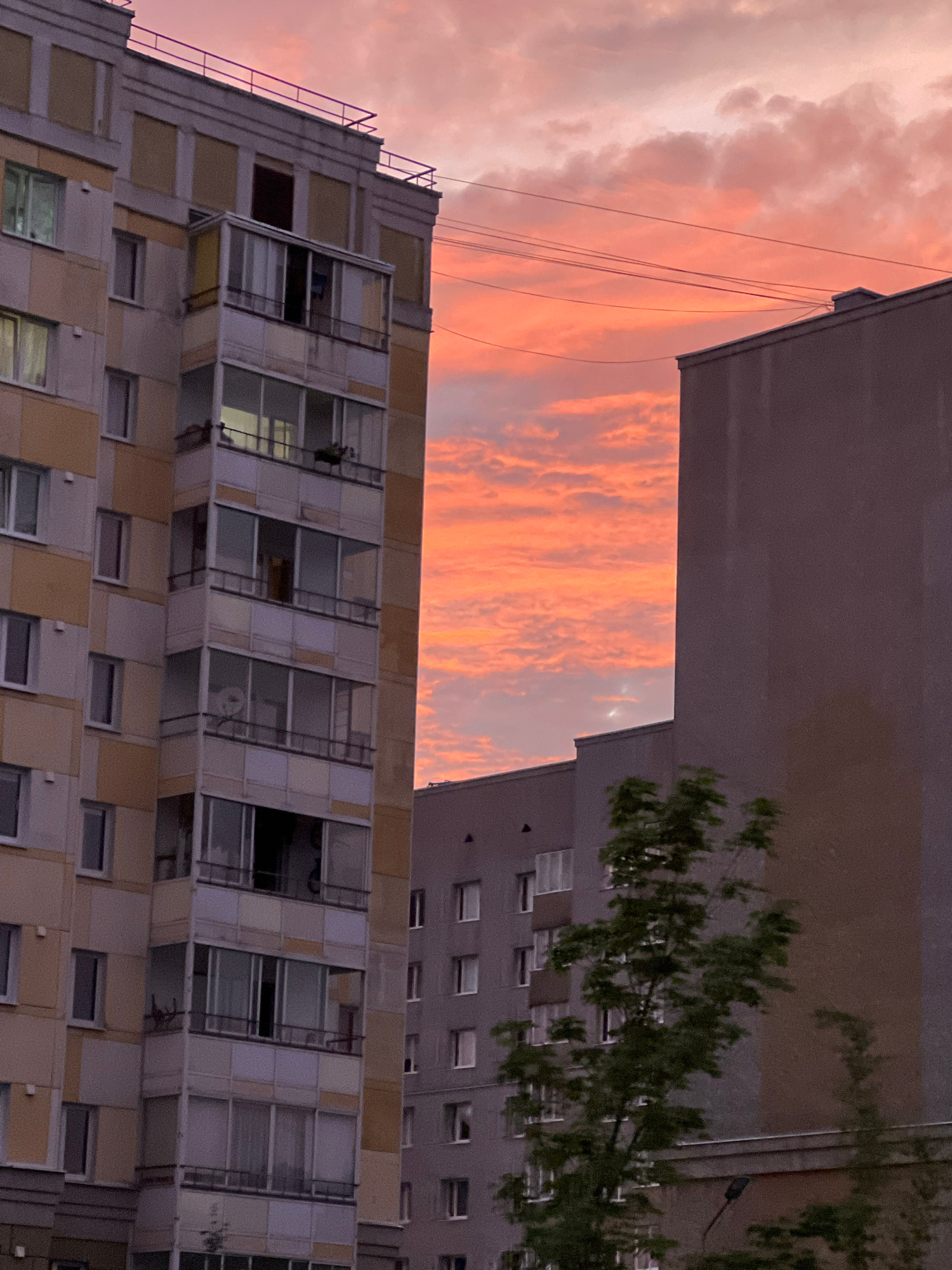 The image shows a residential building in Kaliningrad, Russia, against a backdrop of a vibrant sunset. The building on the left is yellow and beige with numerous windows and balconies. A taller, grey building stands to its right, partially obscuring the view of a second, grey residential building behind it. The sky is filled with dramatic clouds painted in shades of orange, pink, and yellow, suggesting either sunrise or sunset. Power lines are visible stretched across the sky. A small tree with green leaves is positioned in the foreground on the right side of the image. No people are visible.