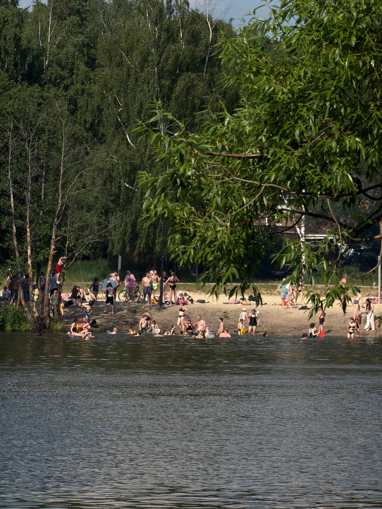 This is a vertical, medium-distance shot of a crowded beach and lake on a sunny day in Malakhovka, Russia. In the foreground, the dark, rippling water of a lake dominates the lower half of the image. The middle ground is a sandy beach populated with numerous people engaged in various leisure activities. Some are sunbathing, others are wading or swimming in the lake, and a group is gathered near a tree on the left, with one person appearing to swing from a branch.
The beach itself is lined with trees and vegetation, with a dense forest forming the background. The trees range from slender, bare trunks to lush green foliage, with birch trees clearly visible. Several people are dressed in swimwear, and a few are wearing life vests, indicating they are in the water. Objects visible include bicycles, beach towels, and a red frisbee. The overall atmosphere is one of a popular summer recreation spot.