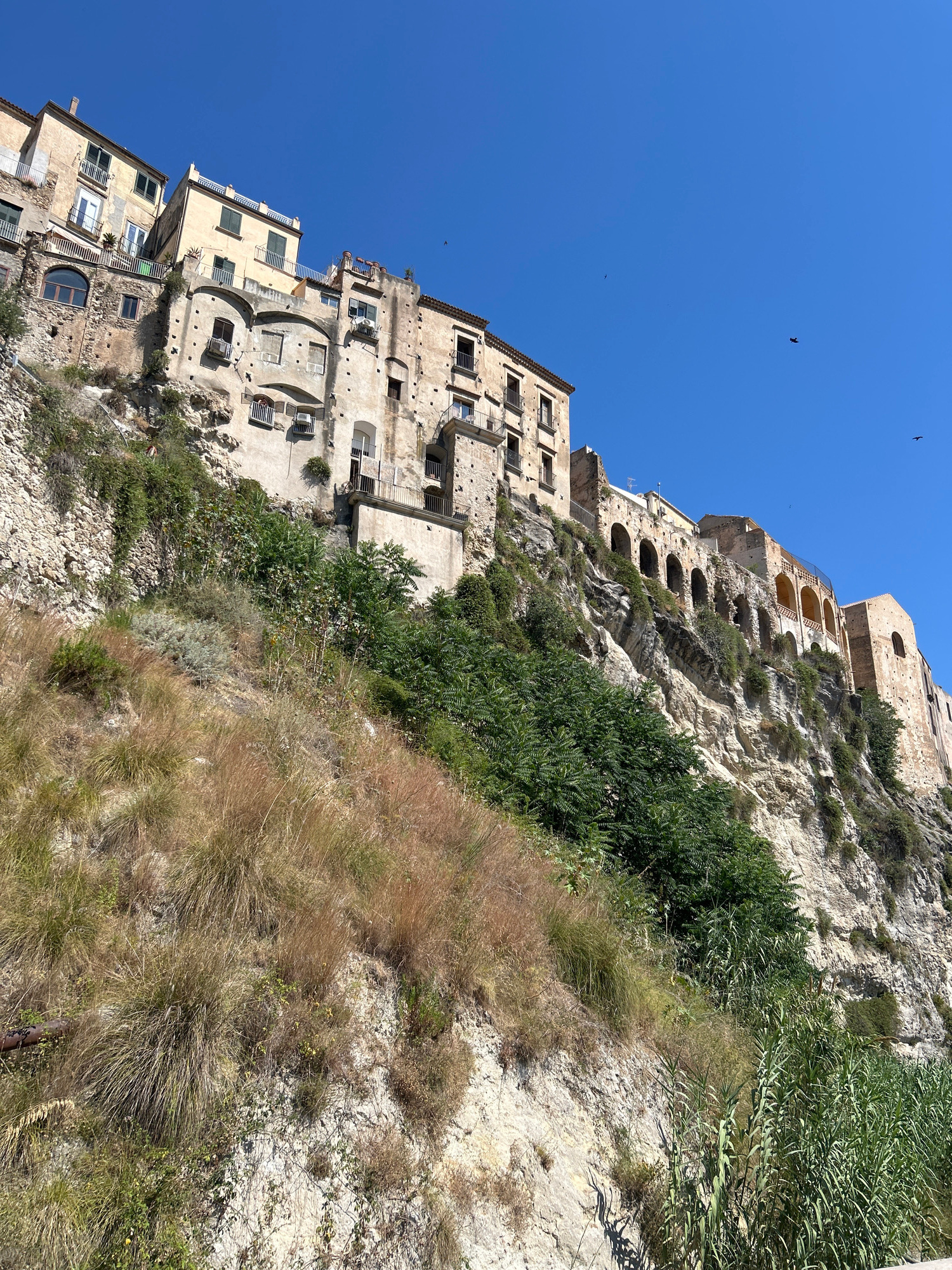 The image captures a dramatic cliffside town with buildings built directly into the rock face, under a clear blue sky. The architecture is a mix of stone and weathered plaster, with multiple levels of apartments featuring arched windows and balconies. Greenery, including trees and dry grasses, grows on the steep slopes and around the structures, adding a natural element to the urban landscape. Several birds are visible in the sky, soaring against the bright blue. The sun is high, suggesting it is midday, and the scene conveys a sense of timelessness and rustic beauty. The tilted perspective of the image emphasizes the verticality of the town clinging to the cliff.