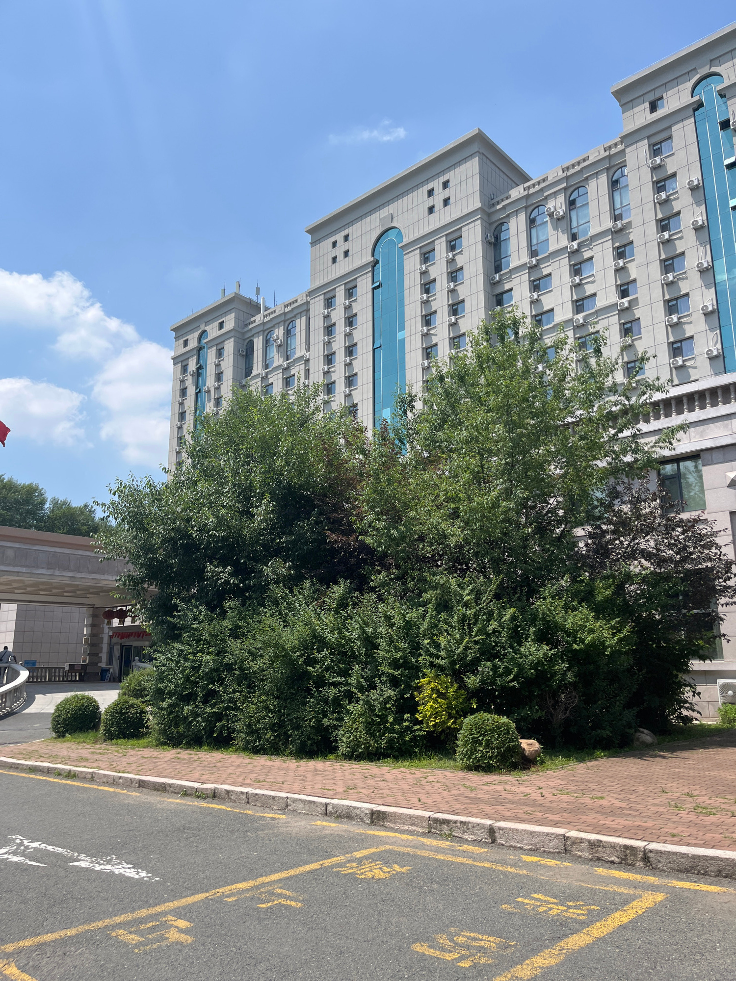 The image captures a segment of a large, light-colored building with multiple floors and numerous windows, suggesting a commercial or institutional structure. The building features a modern architectural style with decorative elements and is adorned with many external air conditioning units. In front of the building, a dense arrangement of green trees and bushes creates a natural barrier, obscuring the lower portion of the edifice. The foreground is dominated by an asphalt road marked with yellow lines and symbols, indicating a road or parking area. Adjacent to the road is a pedestrian walkway paved with reddish bricks and bordered by a concrete curb. The sky above is clear blue with scattered white clouds, and a portion of a red flag is visible on the left side of the frame, possibly on a flagpole. Based on the architectural style and the presence of Chinese characters on the road markings, this scene is likely situated in Changchun City, China.