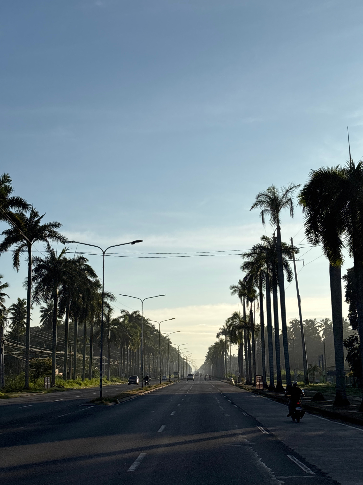The image captures a view looking down a straight, multi-lane road lined with tall palm trees on both sides, characteristic of Tagum City, Philippines, known for its "Tree City" moniker. The scene appears to be an early morning or late afternoon given the low angle of the sun and the long shadows cast on the road. The sky is a clear, pale blue with a hint of haze near the horizon. Streetlights are visible along the road. Several vehicles, including cars and a motorcycle with a rider, are present on the road. The overall impression is one of a wide, tree-lined avenue in a tropical urban setting.