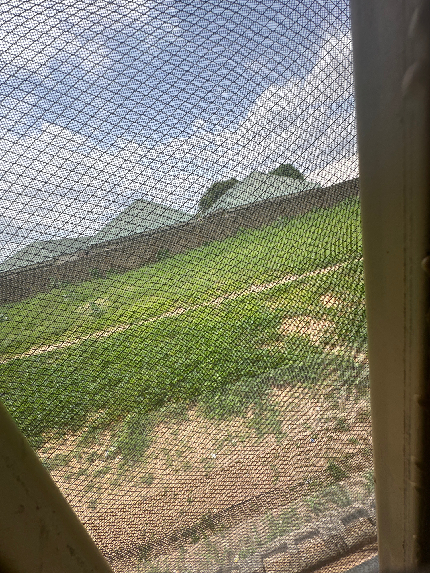The image shows a view through a screen window. Outside, there is a landscape with green fields, possibly agricultural, and what appear to be greenhouses or covered structures in the distance. The sky is blue with scattered clouds. The foreground is dominated by the diamond pattern of the screen mesh and a portion of the window frame. The scene depicts an outdoor environment in Jauro Yinu, Nigeria.